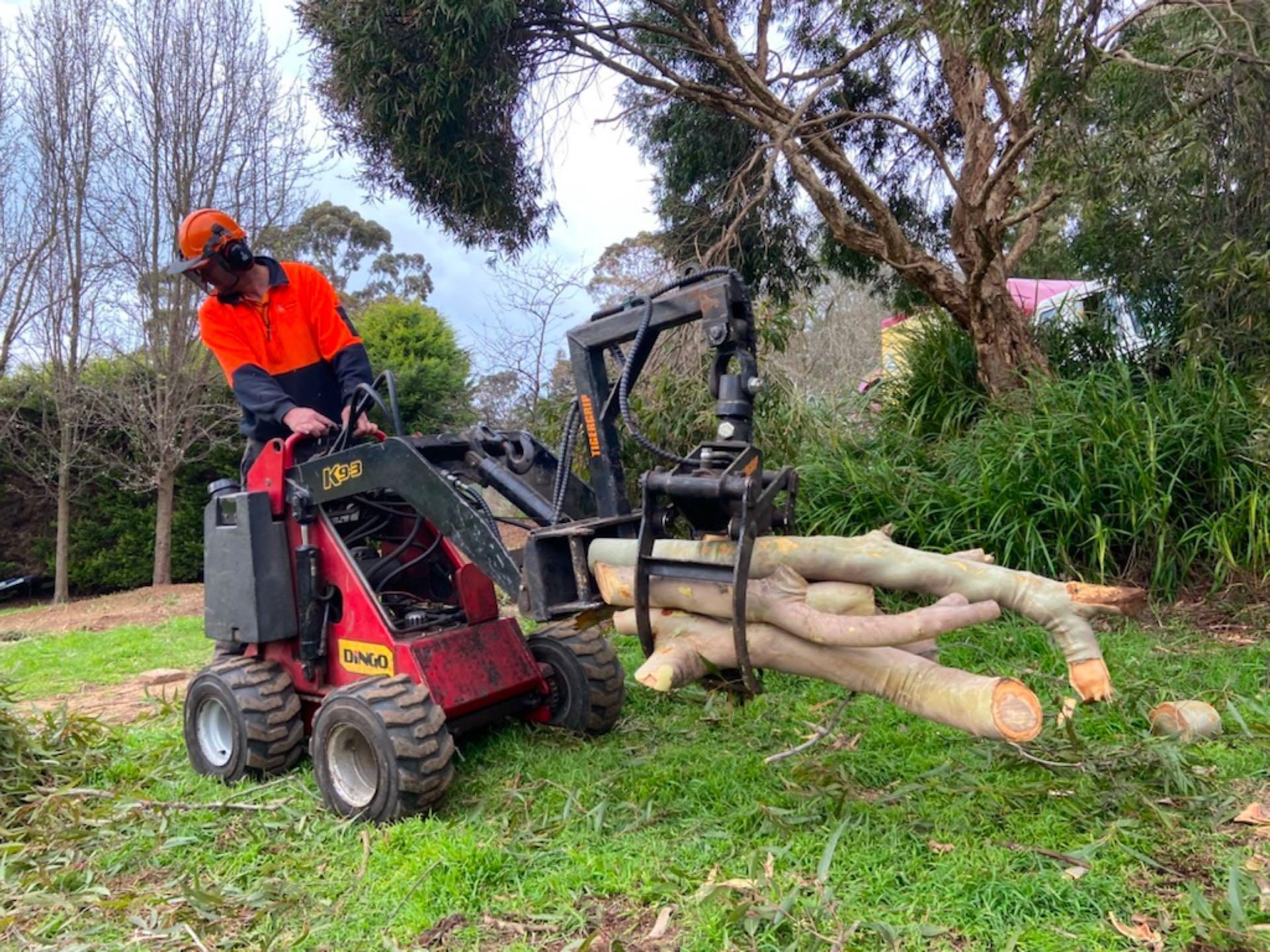 driving tractor for tree removal