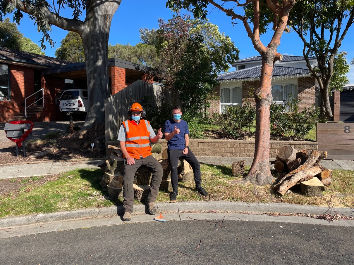 tree removal service 2
