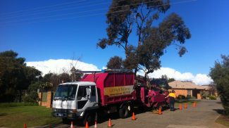 Arborist Tree Removal & Pruning Service In Frankston South