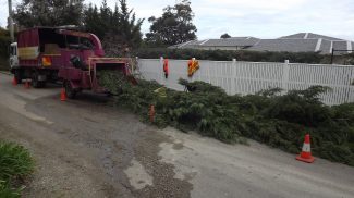 Frankston Tree Lopping Can Cut Your Trees Down