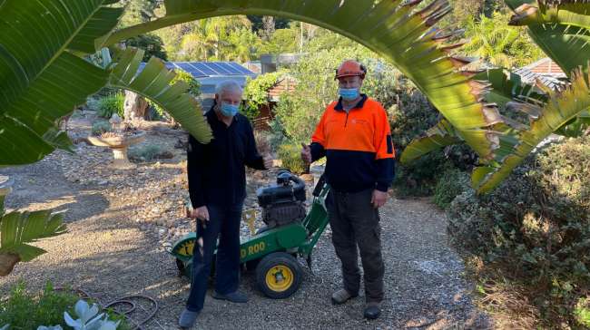 Cut It Right Tree Service: The Trusted Name in Tree Removal on the Mornington Peninsula with Owner Quinton Garlick as a Qualified Arborist and Covid-Safe Services