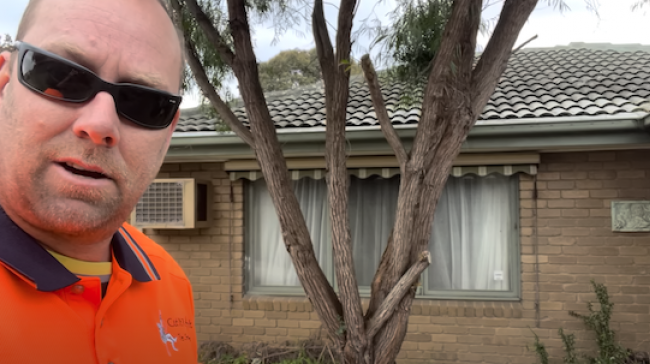 Information about permits for trees on your property In Seaford Tree Removal or Tree Service Seaford