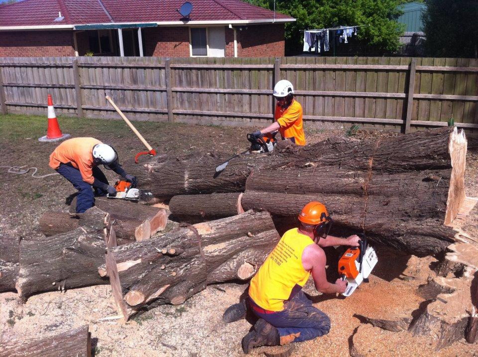 Cranbourne Tree Removal - Pruning - Lopping Service