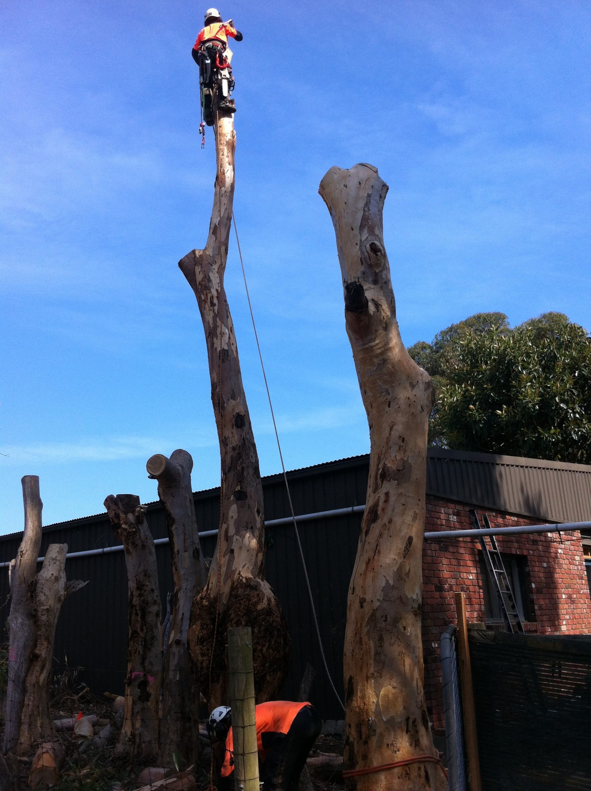 Langwarrin Cutting - Lopping - Pruning - Removal Services