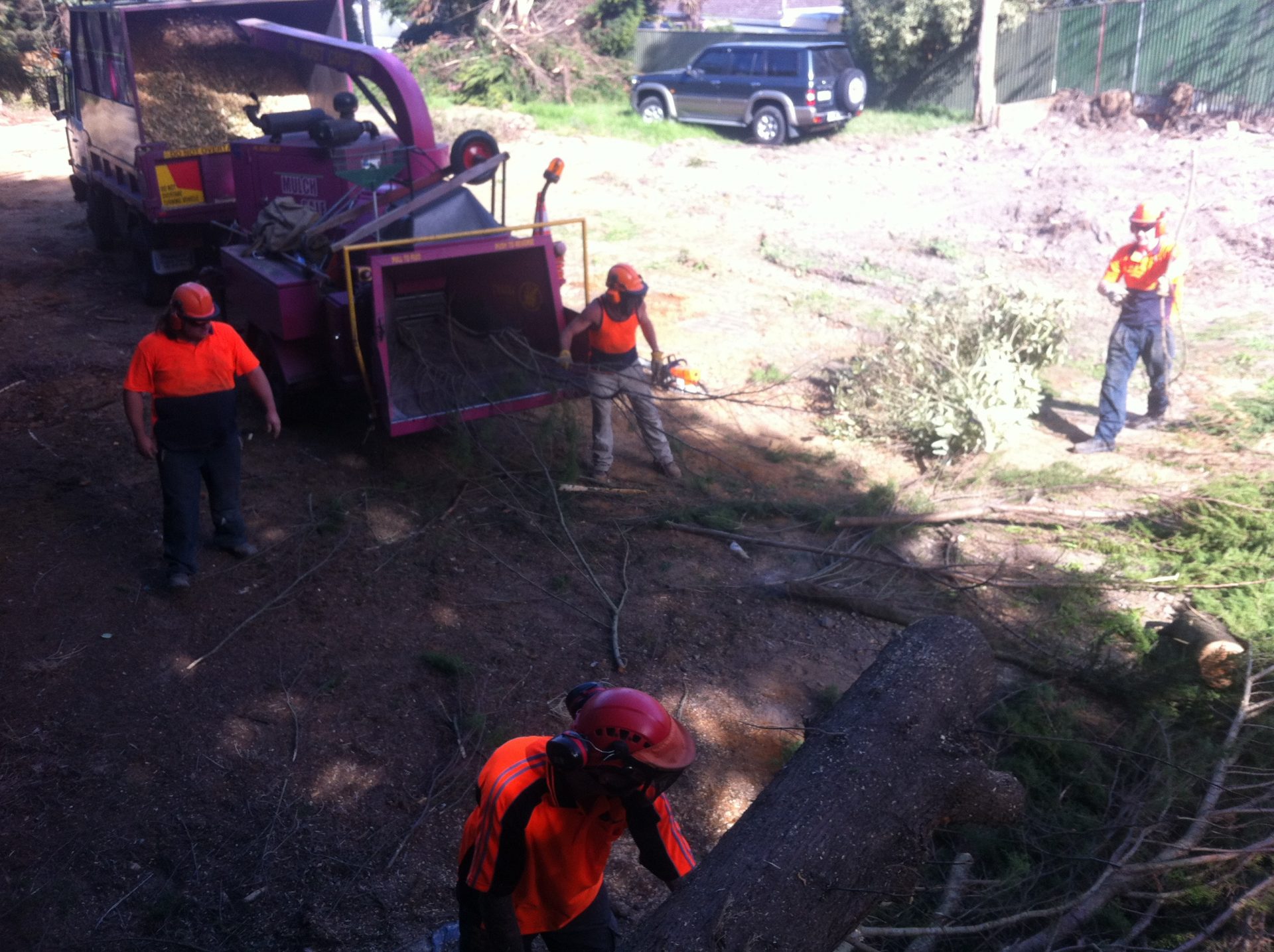 Dromana Tree Felling - Lopping - Pruning - Removal
