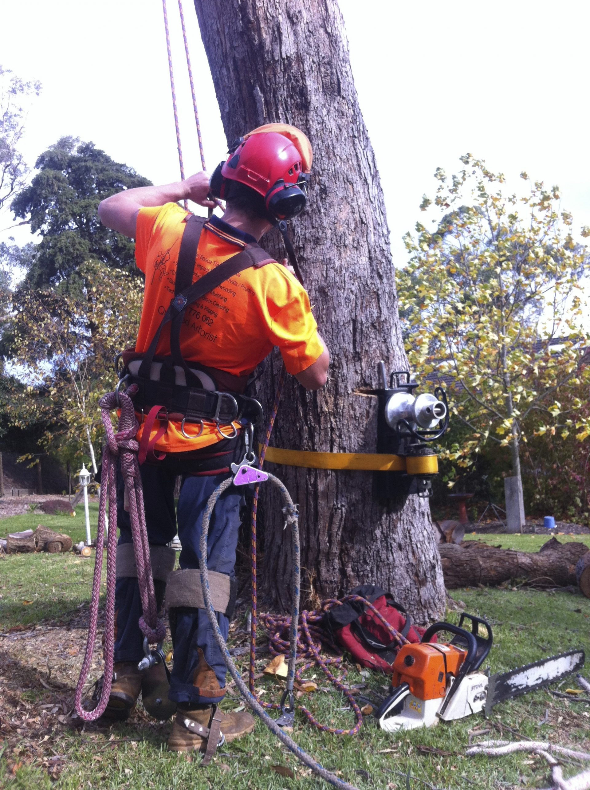 Pruning, Trimming, and Tree Removal Services in Tyabb