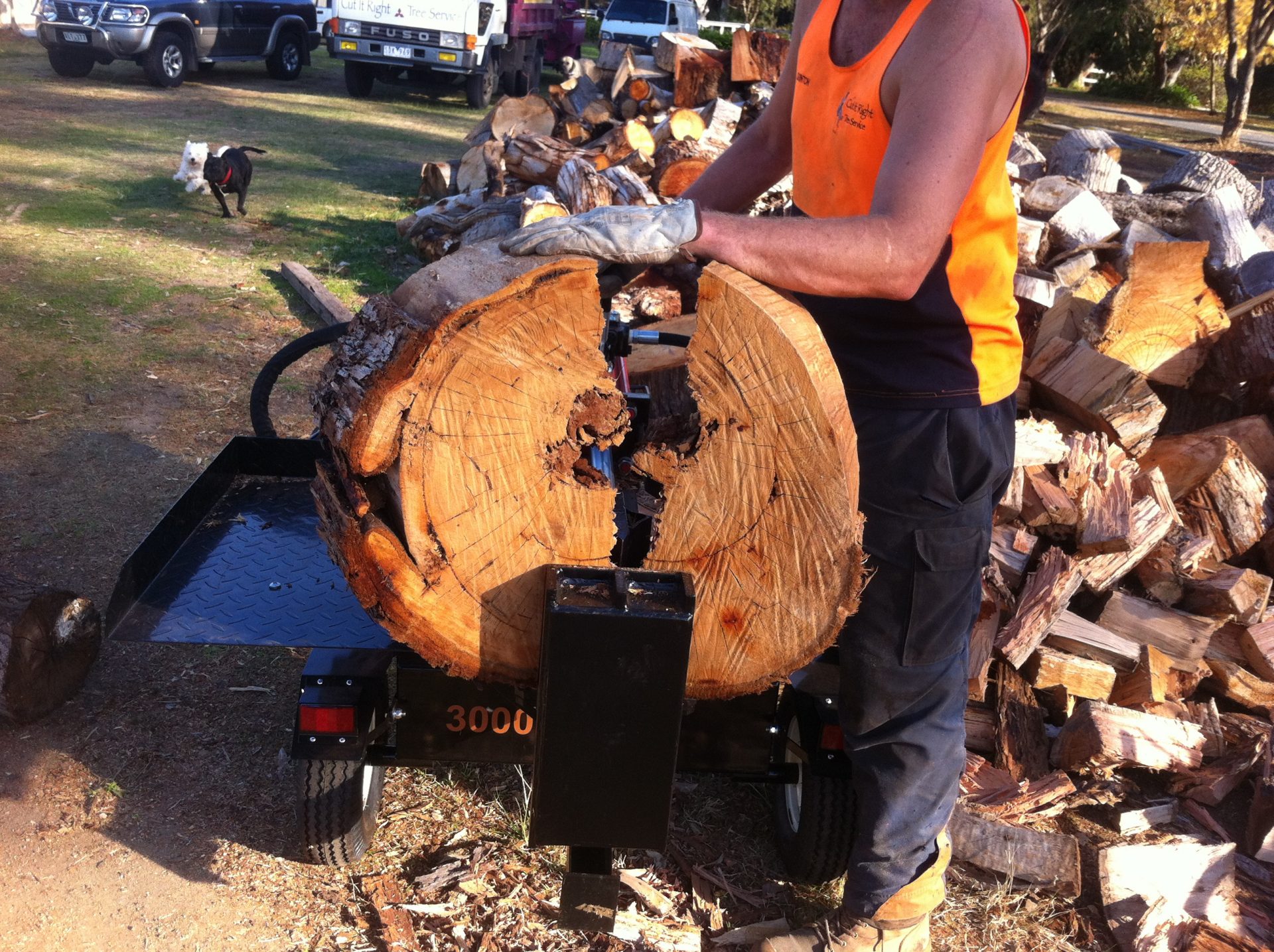 Tree Pruning, Removal, Felling, Trimming and lopping in Bonbeach