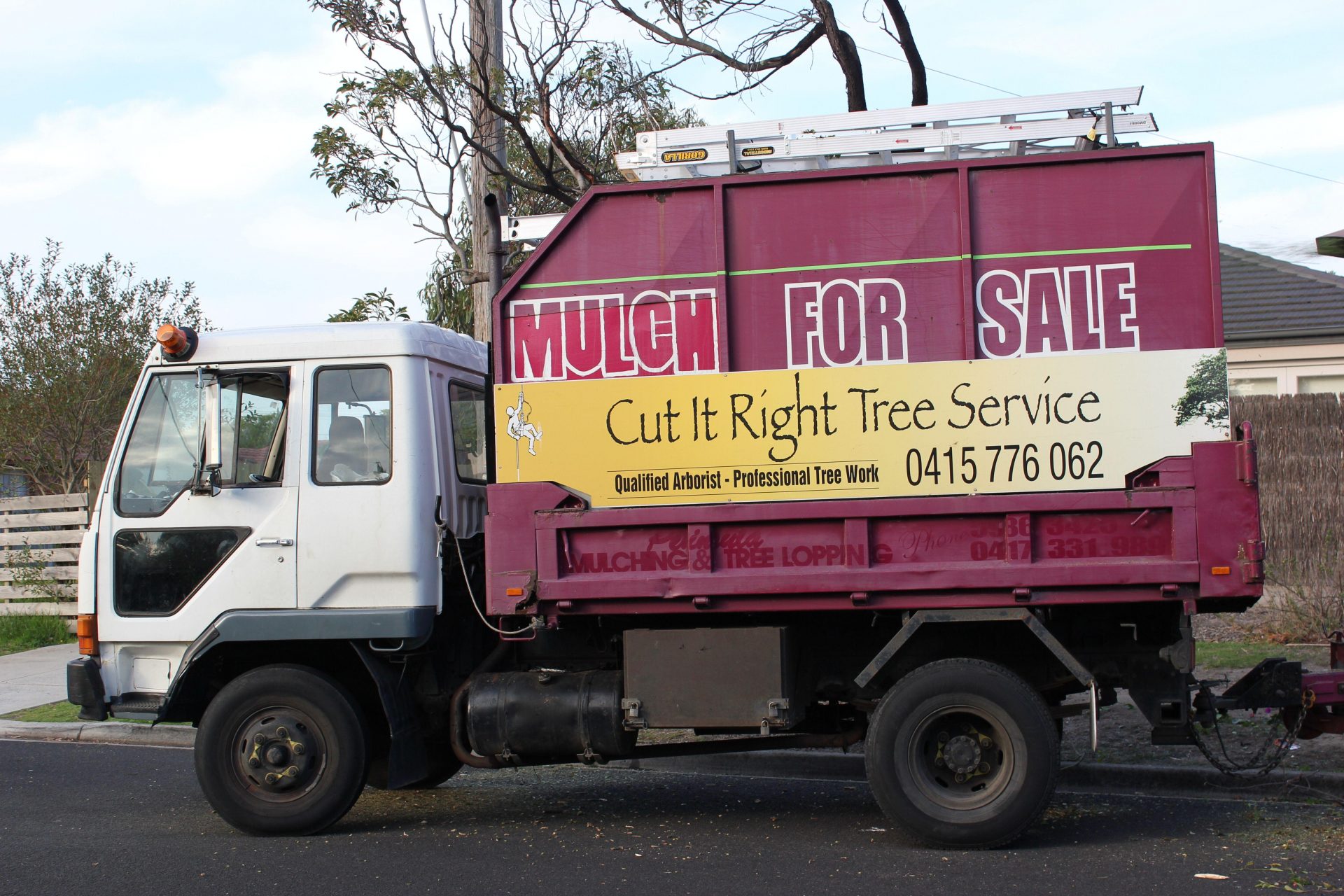 Tree Lopping - Pruning - Trimming Services Frankston