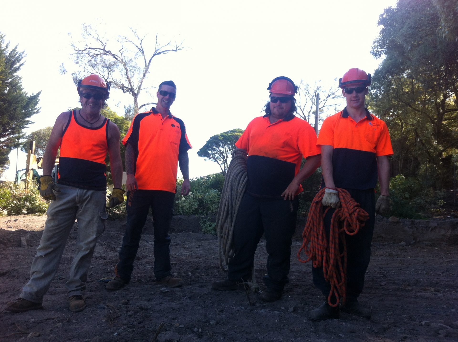 Tree Service In Frankston, Frankston South Tree Removal