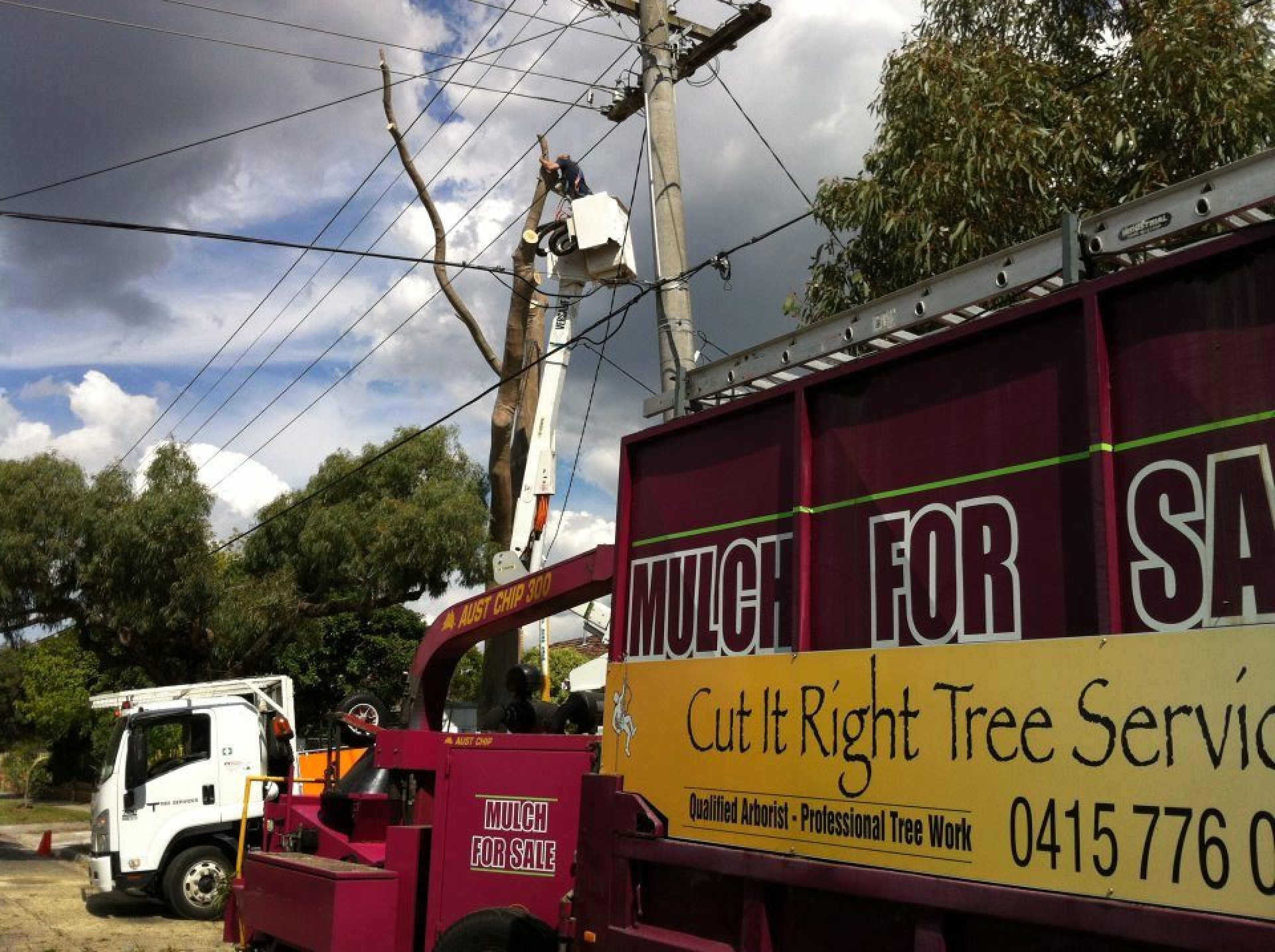 No Job Is To Big Or To Small For Cut It Right Tree Service Rosebud