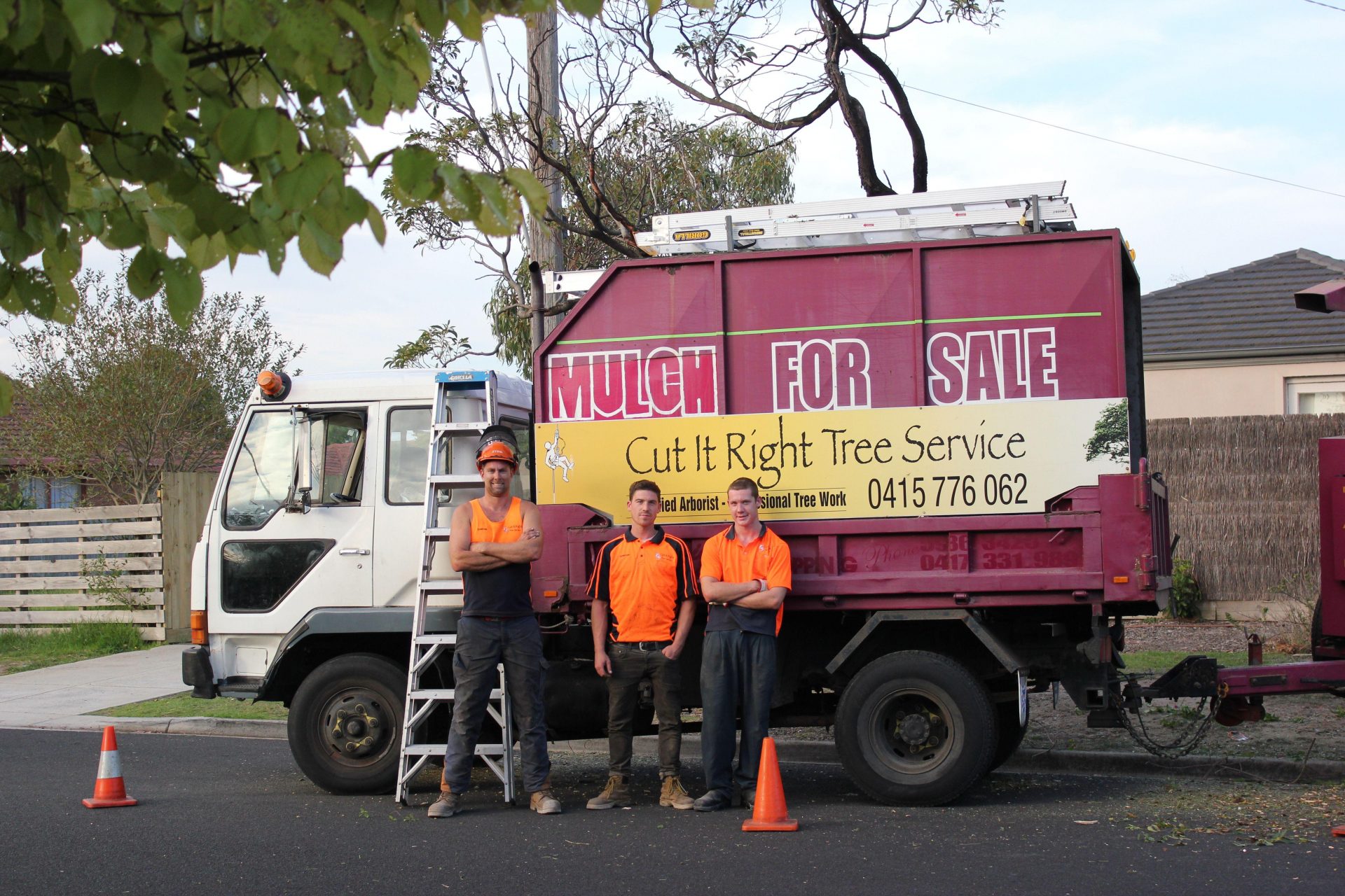Expert Tree and Stump Removal Services in Frankston South by Cut It Right Tree Services