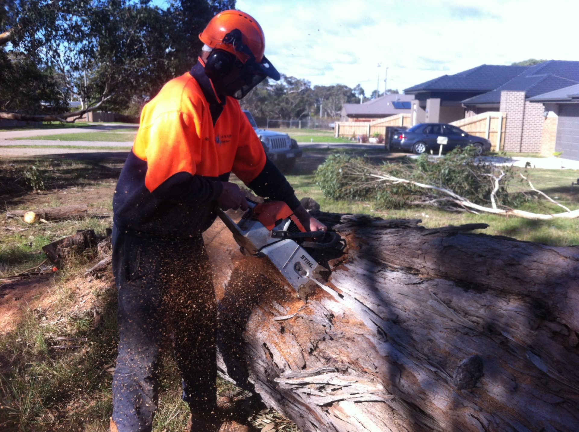 Arthurs Seat Tree Mulching - Chipping - Removal - Services