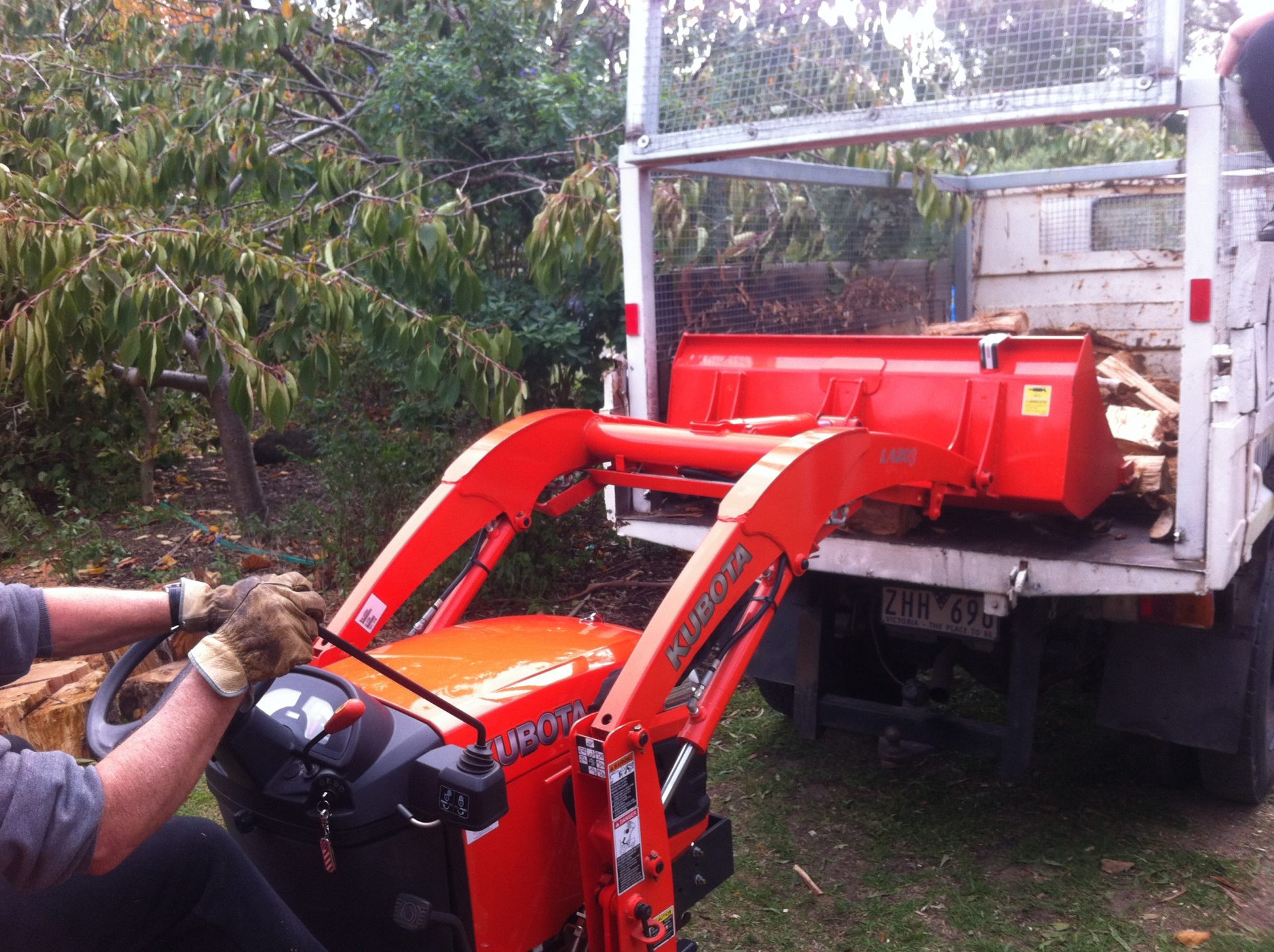 Gum Tree - Tree Removal The Easy Way in Mt Eliza