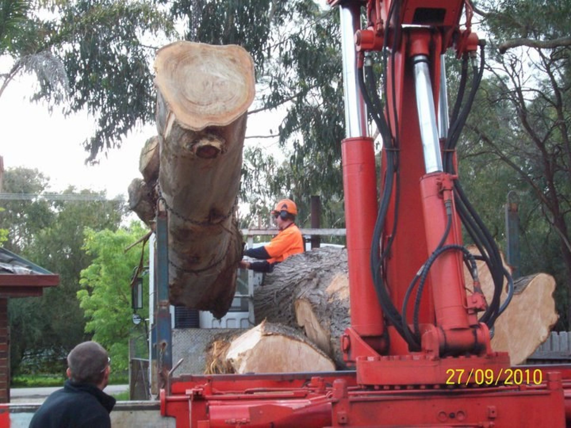 Crain Truck Removing A Large Gum Tree Trunk In Langwarrin