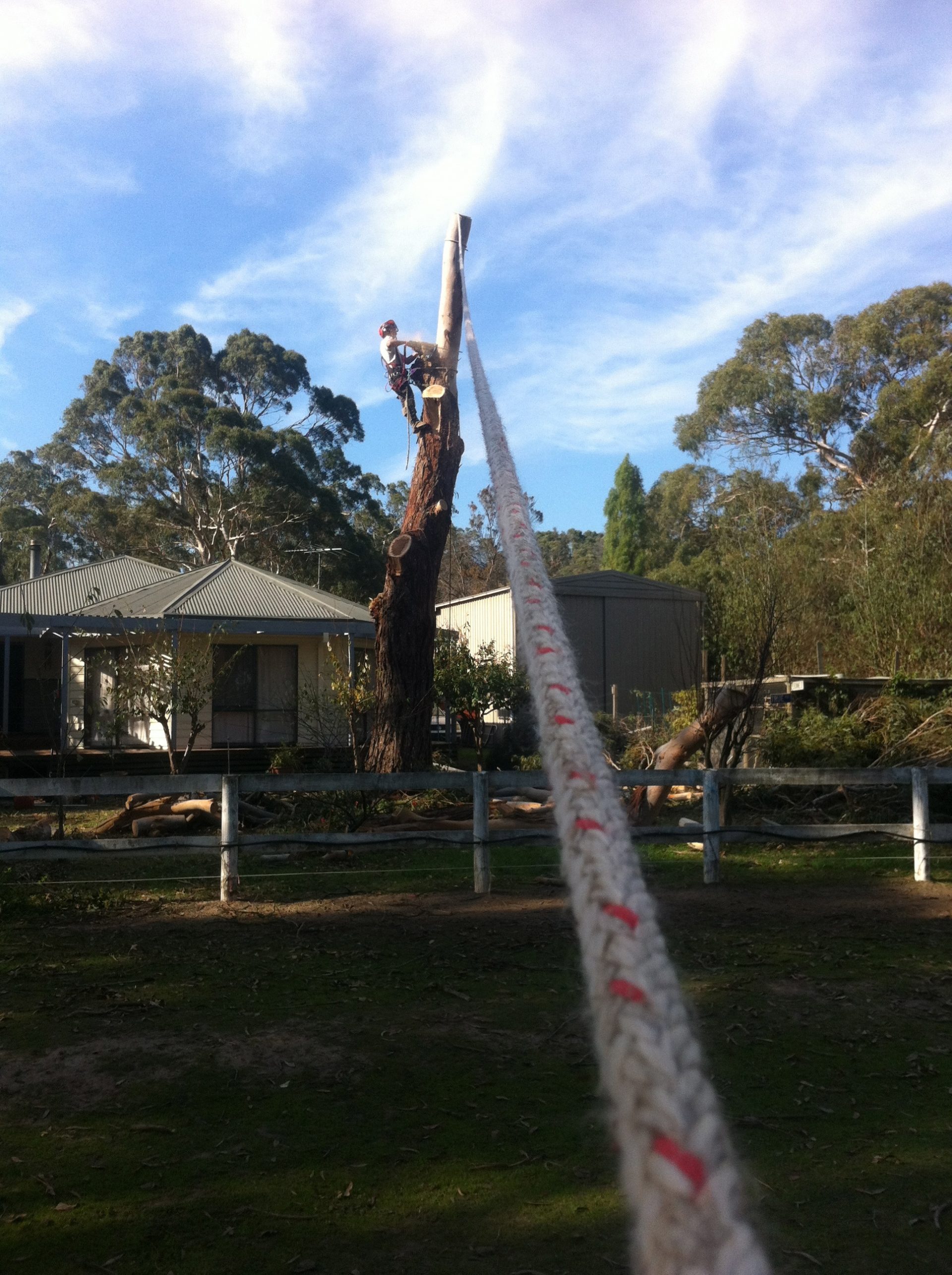 Baxter Tree Pruning - Lopping - Tree Removal Service