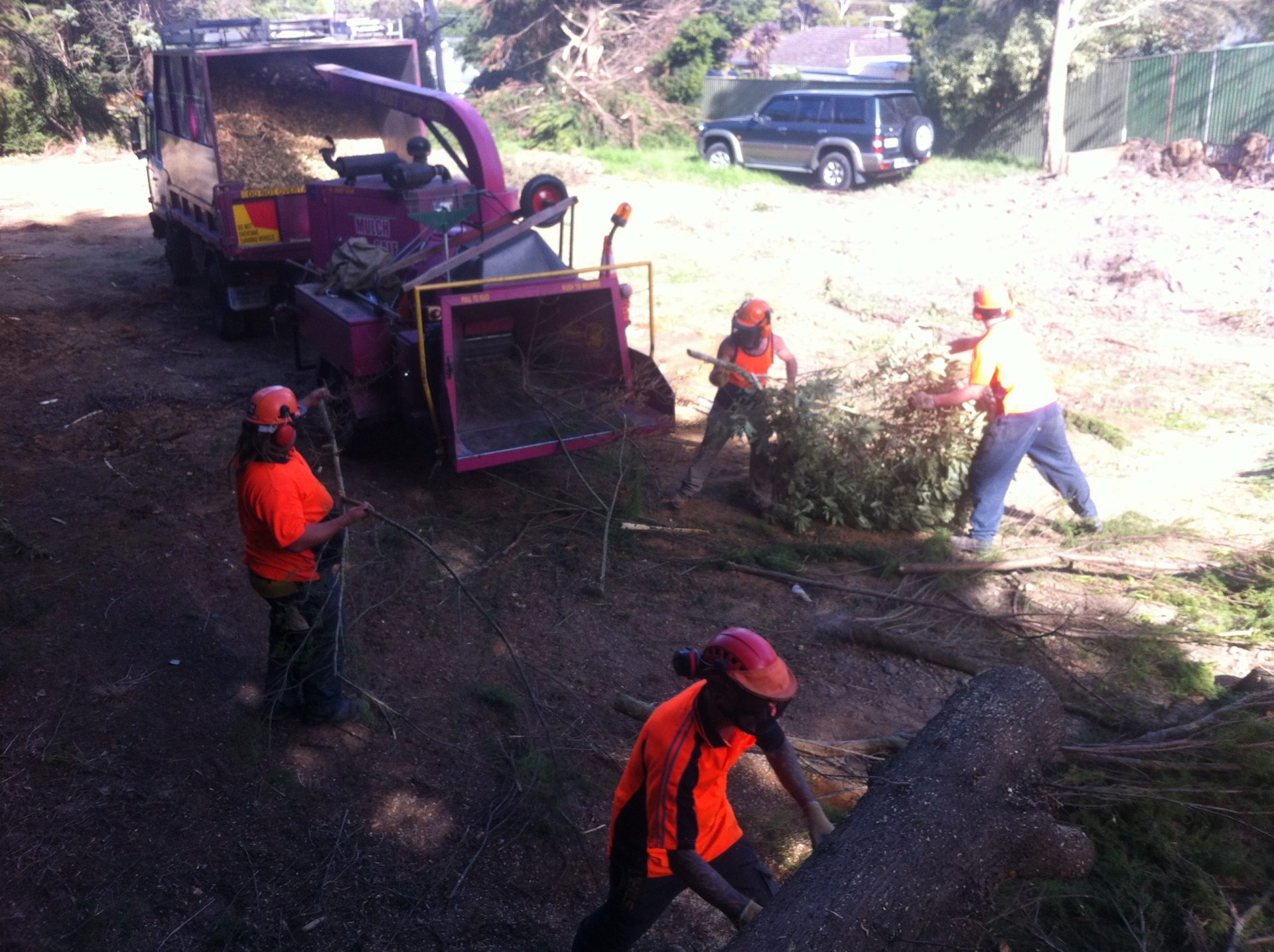 Why Cut It Right Tree Services is the Go-To Choice for Mulching and Chipping Services in Langwarrin
