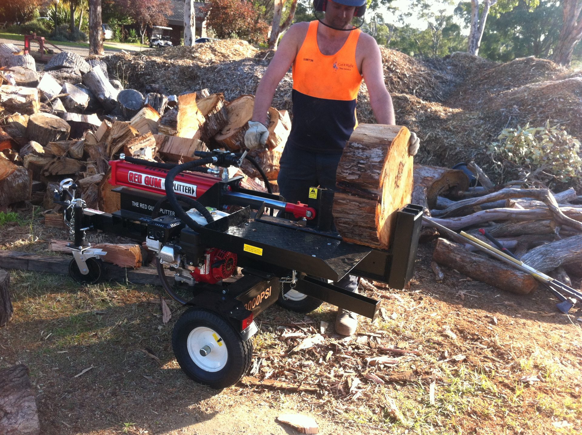Red Hill South Tree Removal - Lopping - Pruning Services