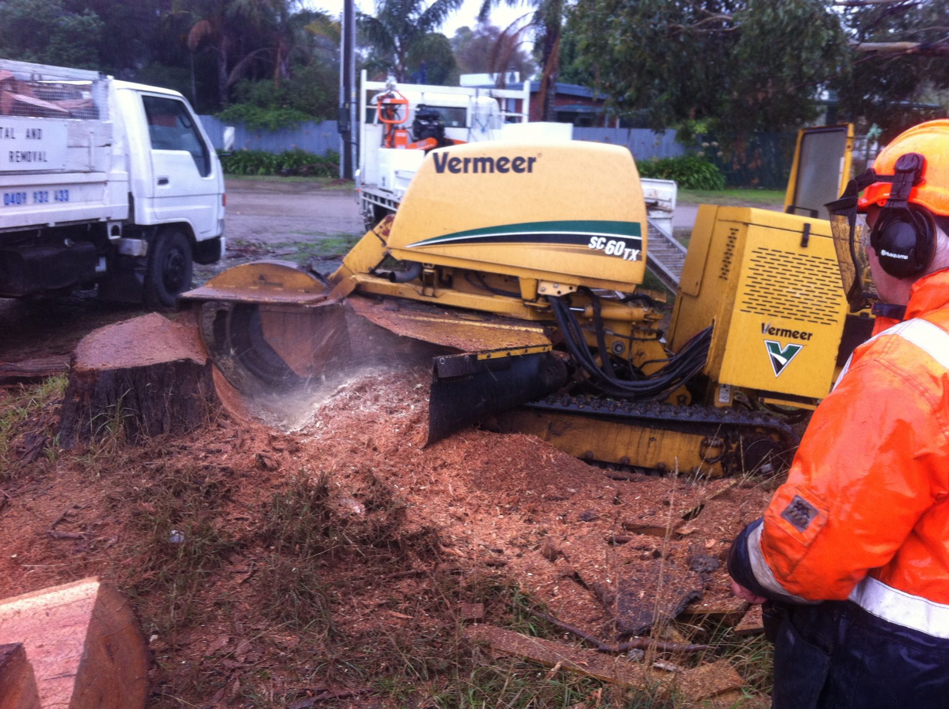 STUMP & TREE Removal Service in Mornington... Tree Removal, Stump Grinding, Root Removal