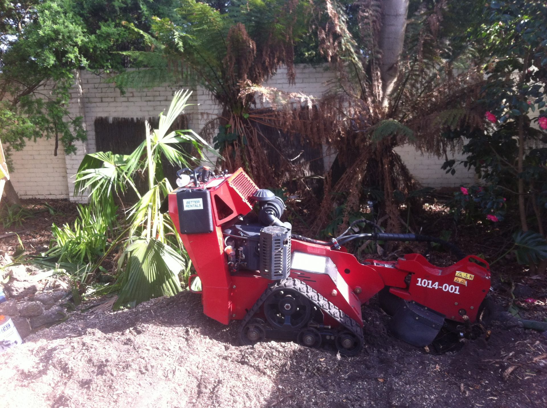 The Importance of Tree Stump and Stump Grinding in Frankston South | Cut It Right Tree Services