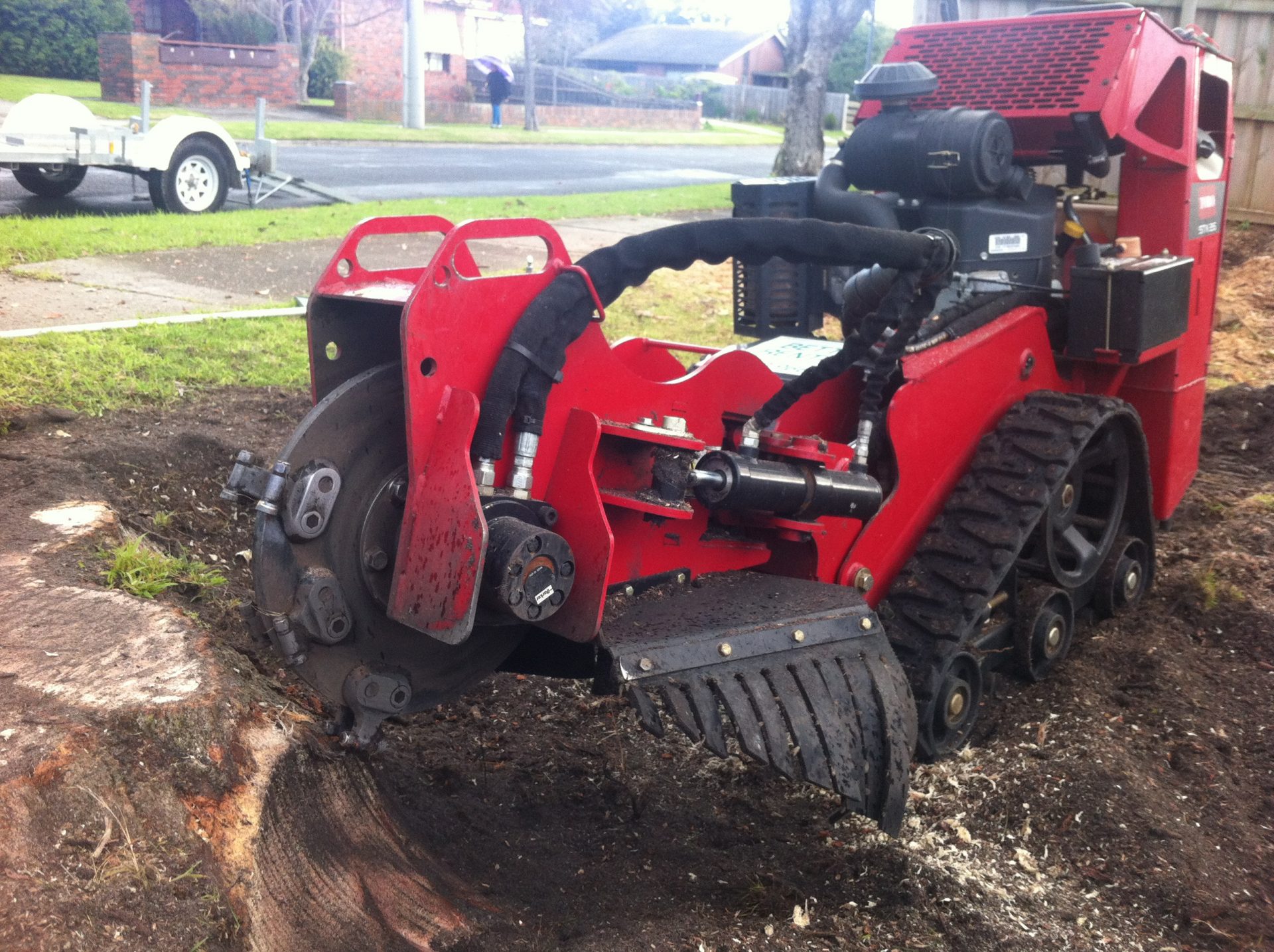 Expert Stump Removal Services in Mt Eliza: Trust Cut It Right Tree Services for Safe and Effective Solutions