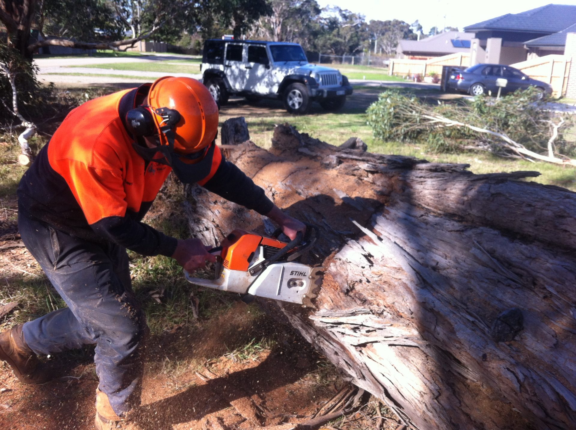 Carrum Downs Tree Removal - Pruning - Lopping Services