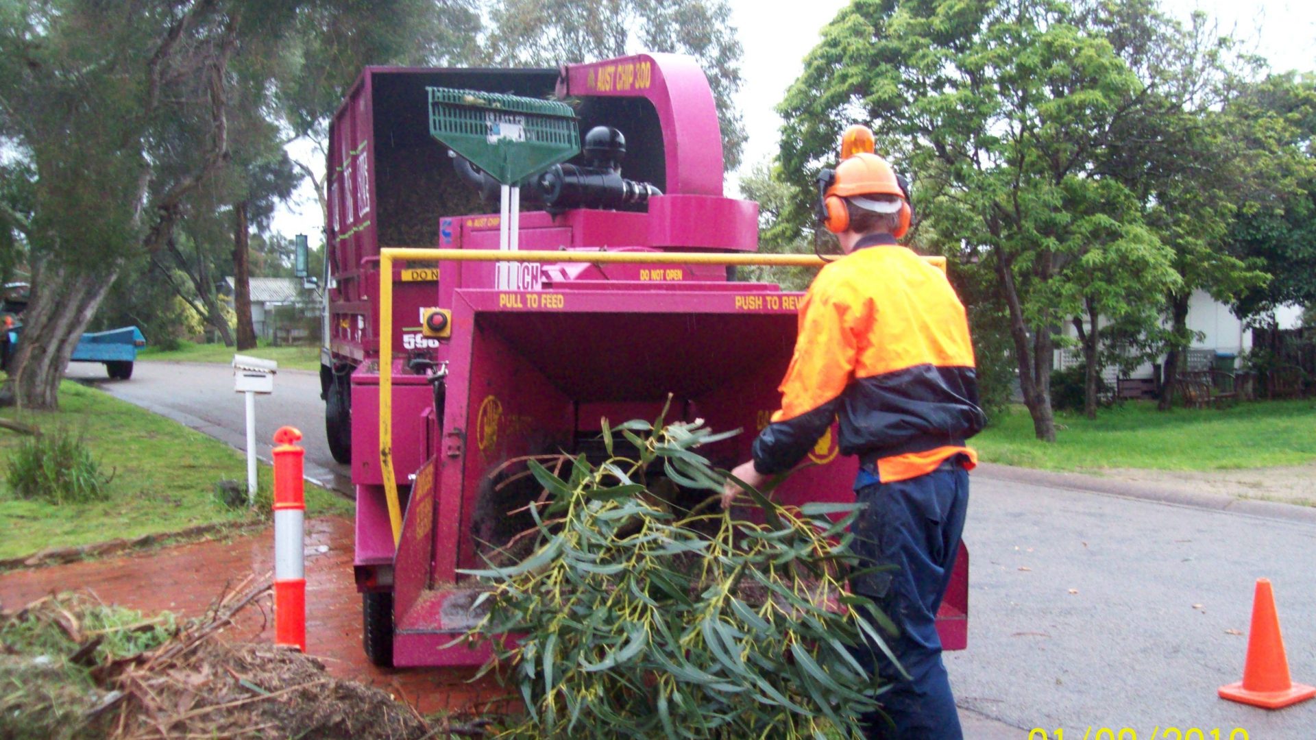 Mulching Trees - Removal - Pruning - Service Frankston