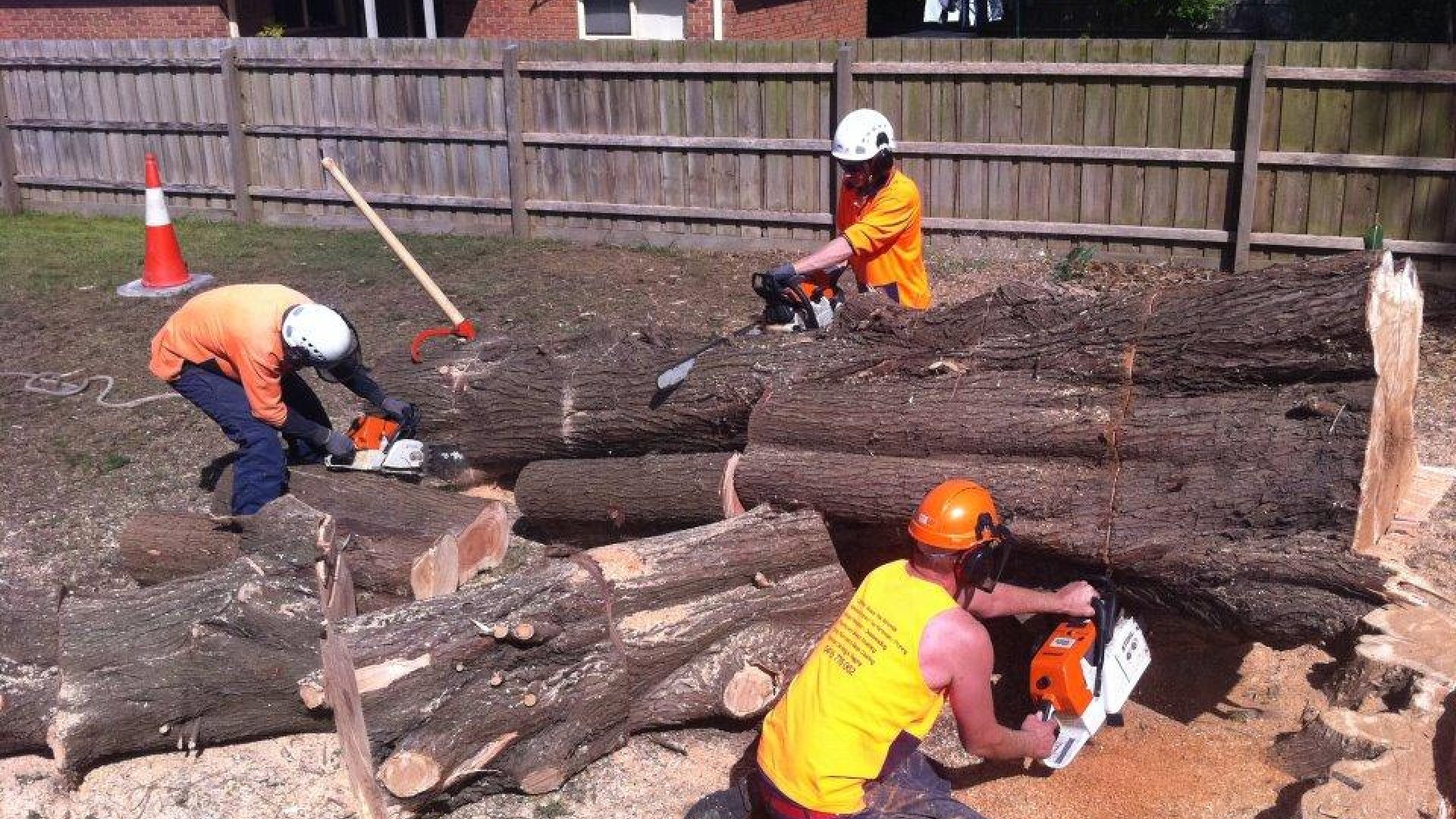 Cranbourne Tree Removal - Pruning - Lopping Service