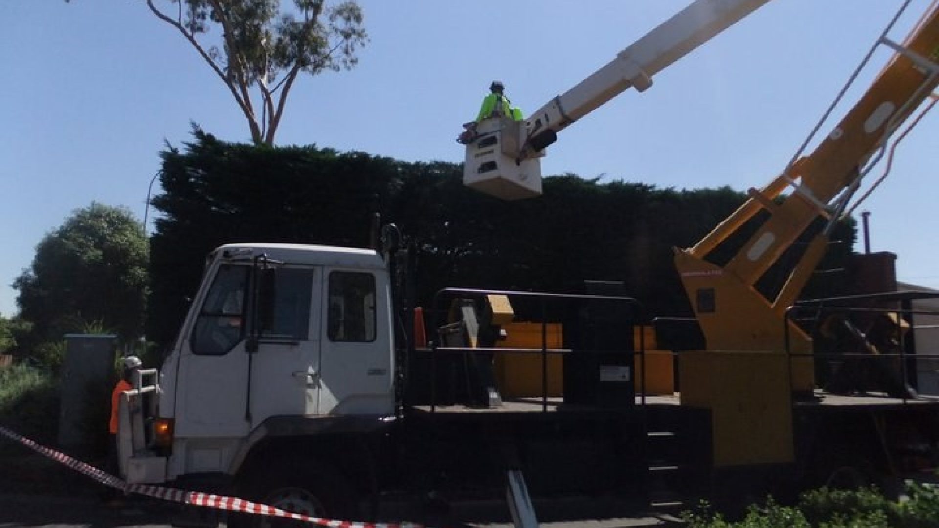 Tree Felling - Lopping - Tree Removal Service Cranbourne
