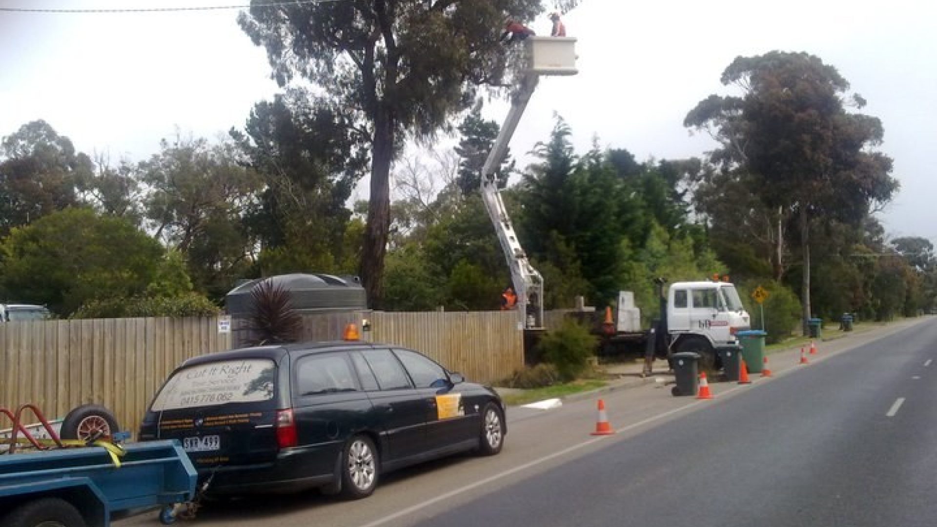 Mt Eliza Tree Services - Tree Removal MtEliza