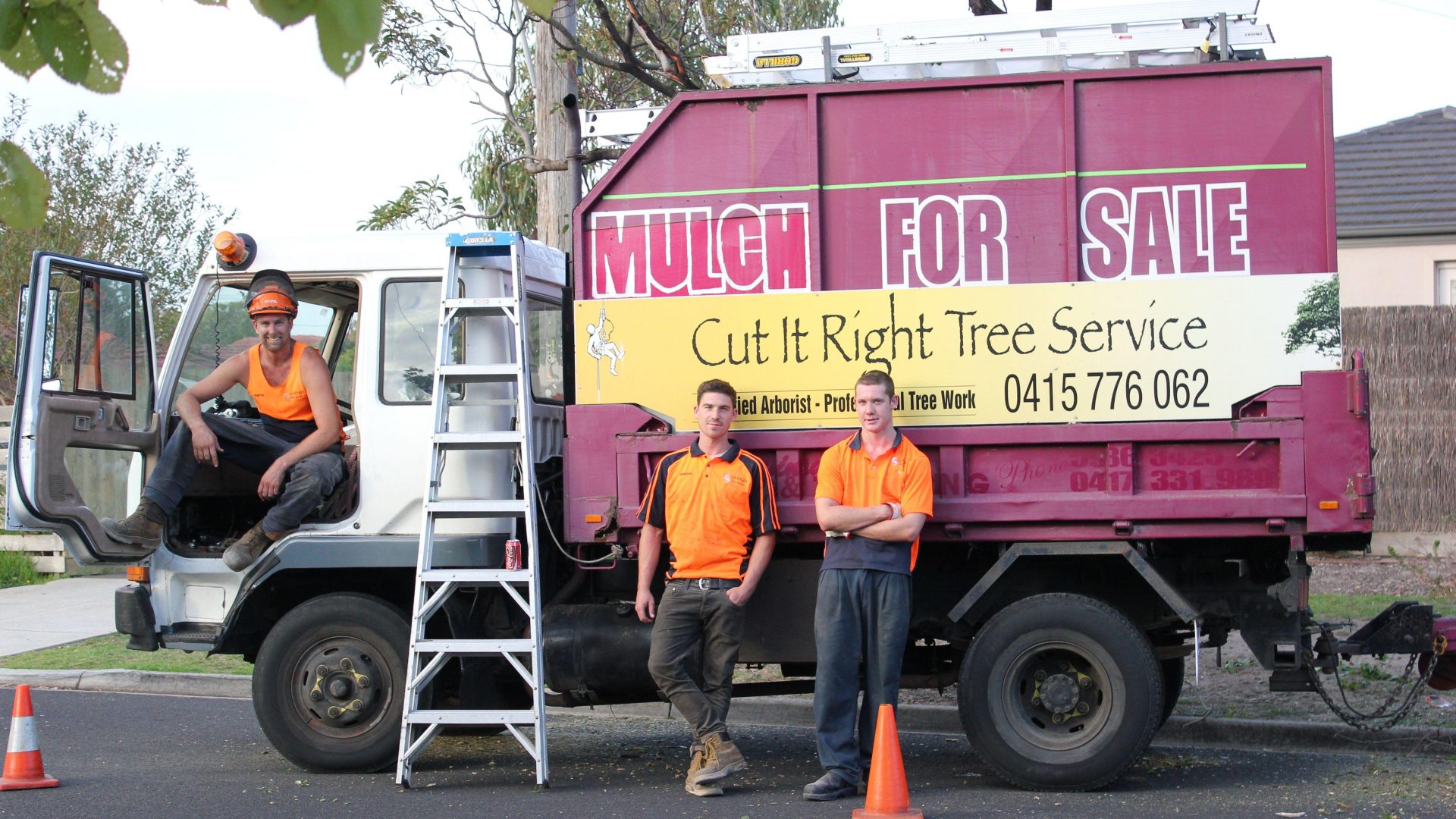 Tree Pruning - Tree Trimming - Removal Services Langwarrin