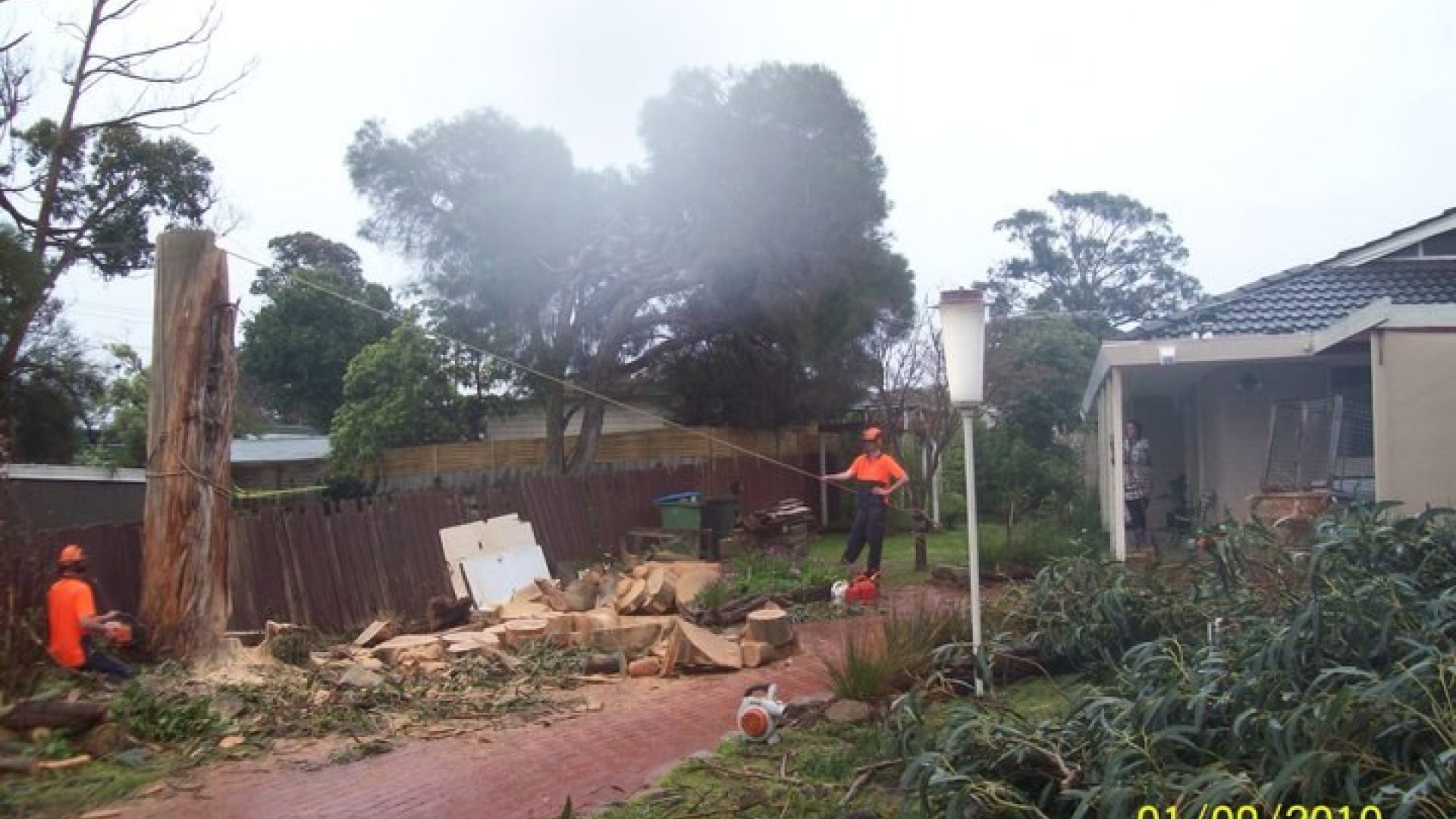 Keysborough Tree Removal - Pruning - Lopping - Cutting Service
