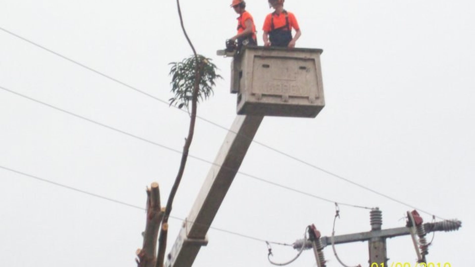 Power Line Safety: The Importance of Power Line Clearance Tree Removal - Cut It Right Tree Services