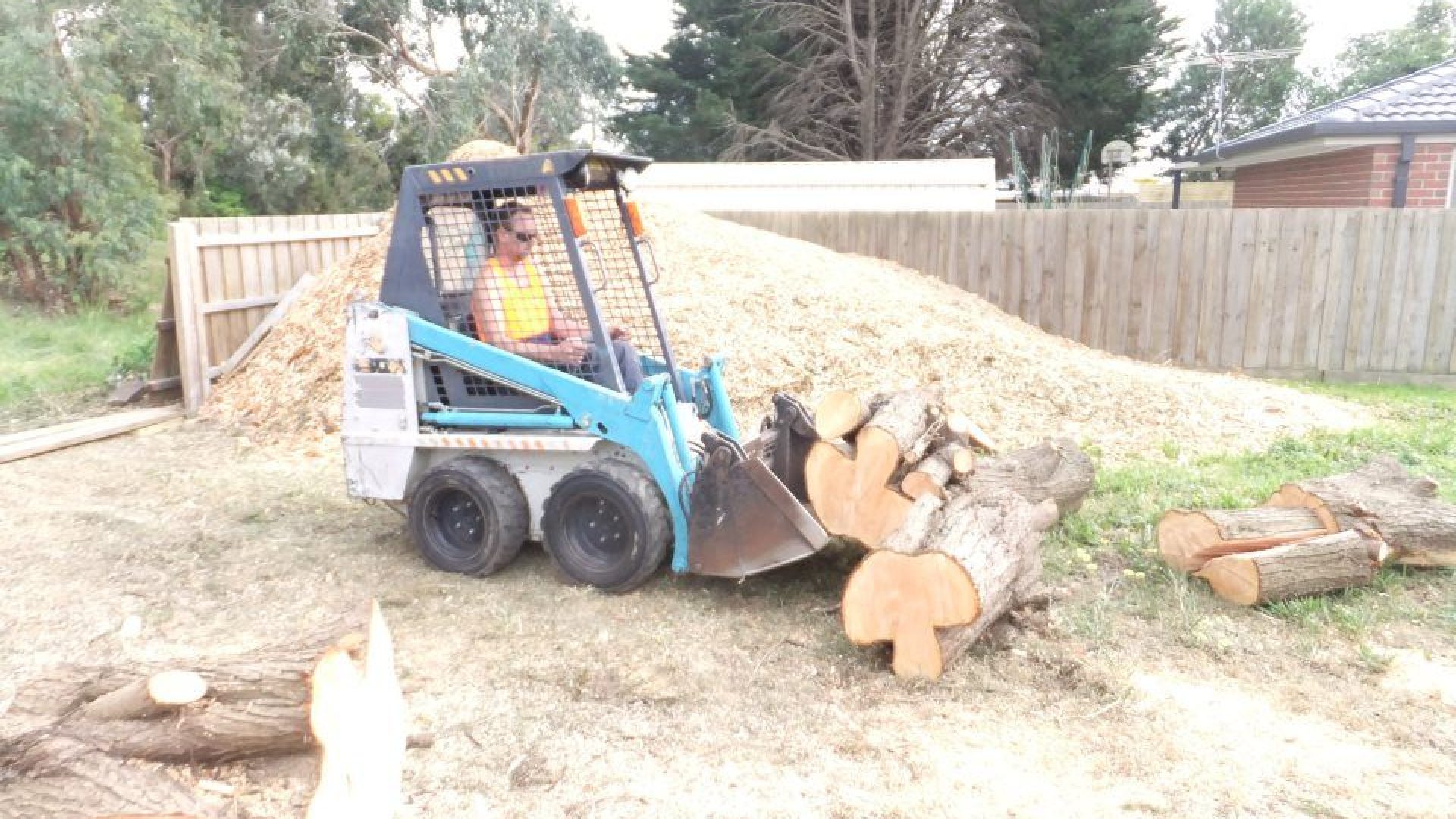 Tree Services - Pruning - Thinning - Removal Cranbourne