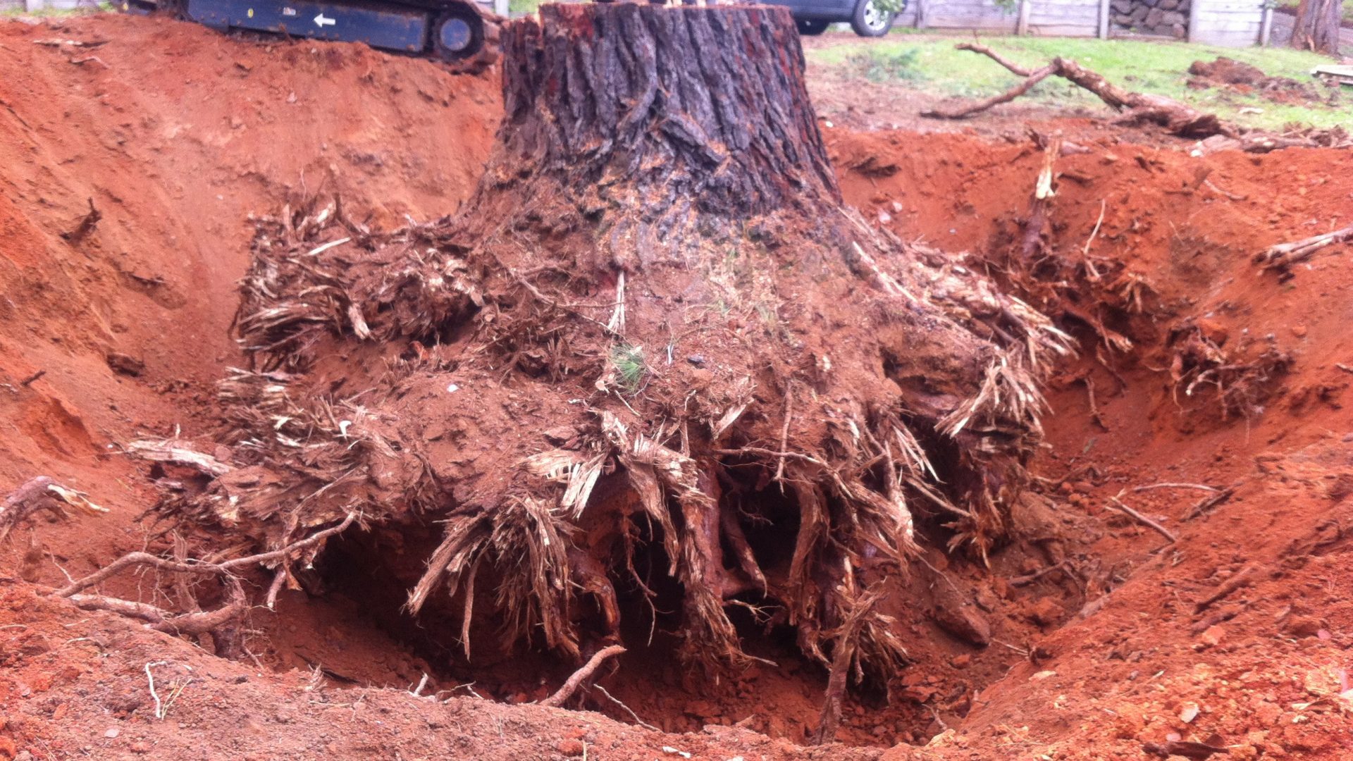 Tree Lopping - Stump Removal Services in Mount Eliza