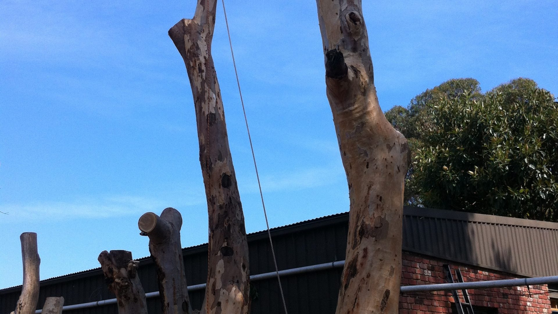 Langwarrin Cutting - Lopping - Pruning - Removal Services