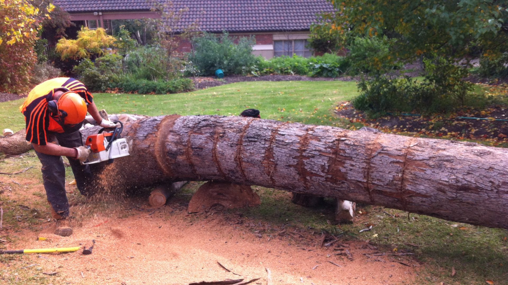 CARRUM DOWNS TREE PRUNING, REMOVAL & LOPPING SERVICES