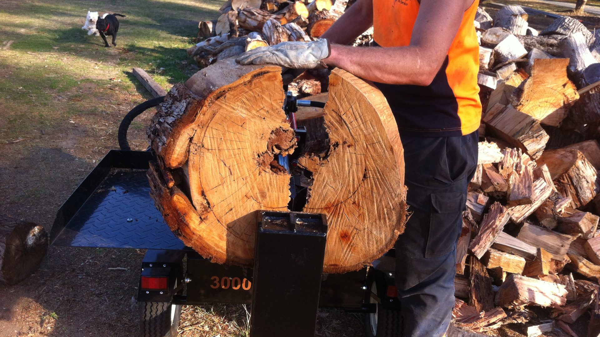 Tree Pruning, Removal, Felling, Trimming and lopping in Bonbeach