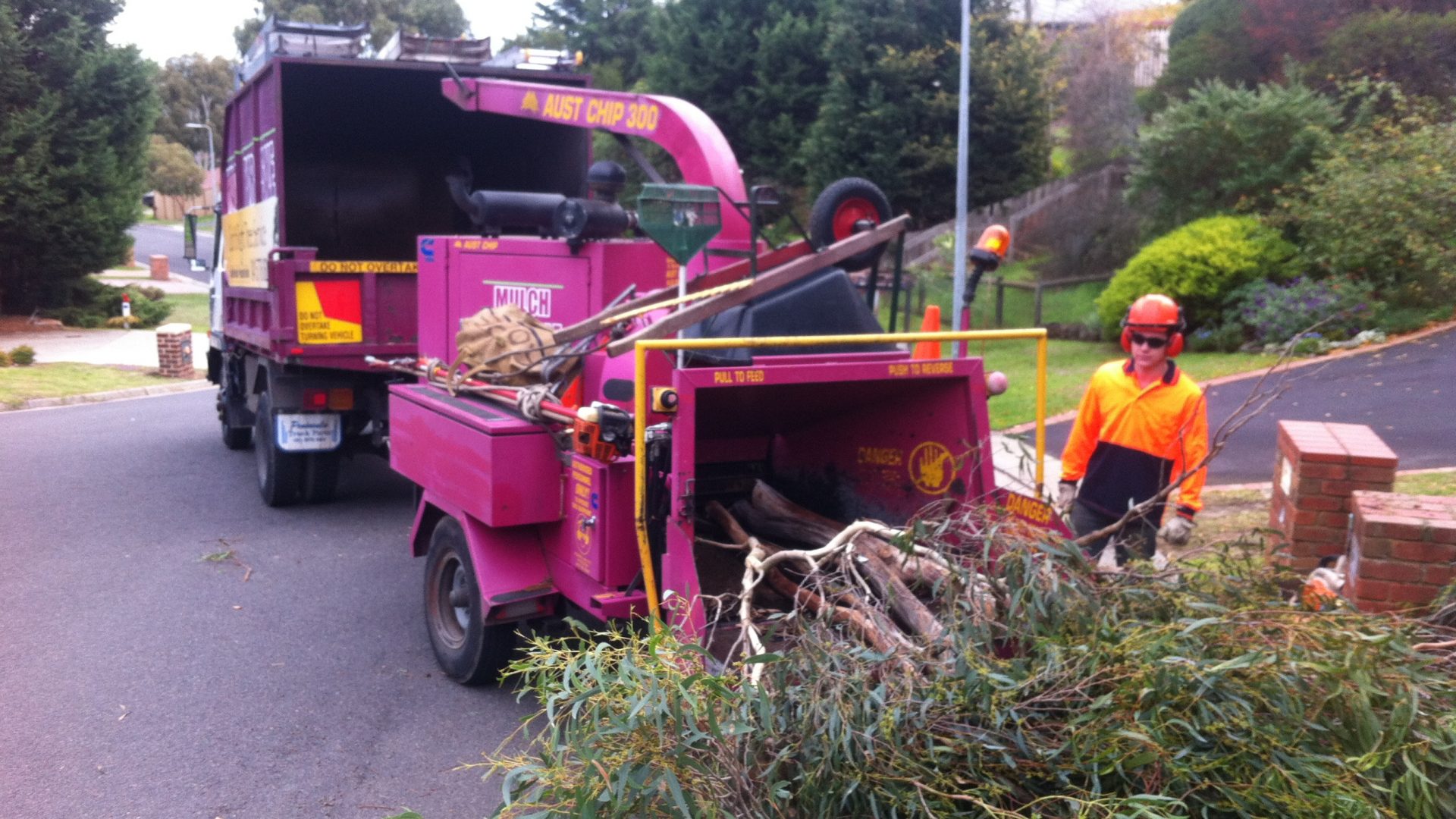 Tree Removal Service in Hastings - Lopping - Felling
