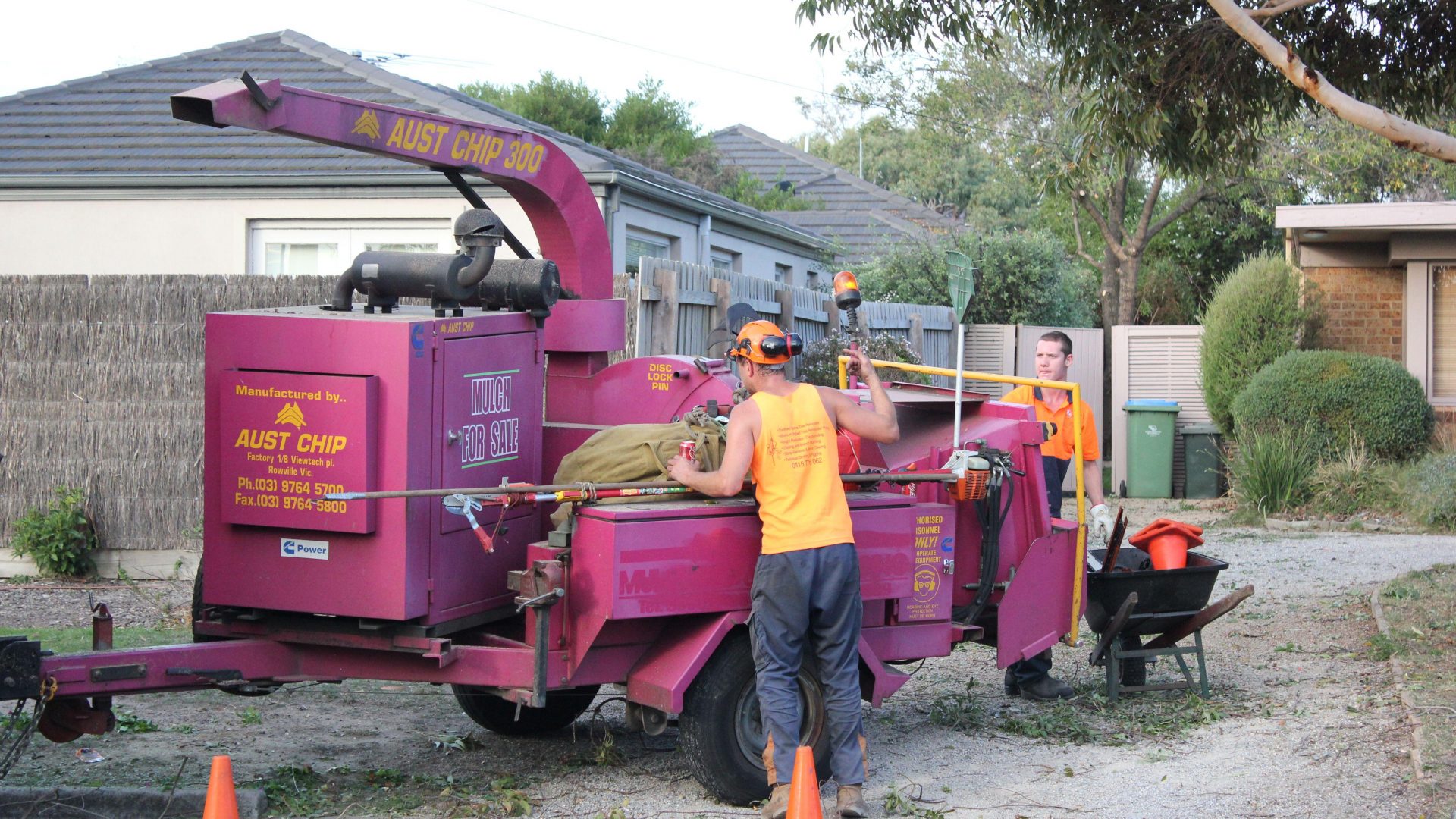 Tree Removal - Pruning - Lopping Services Parkdale