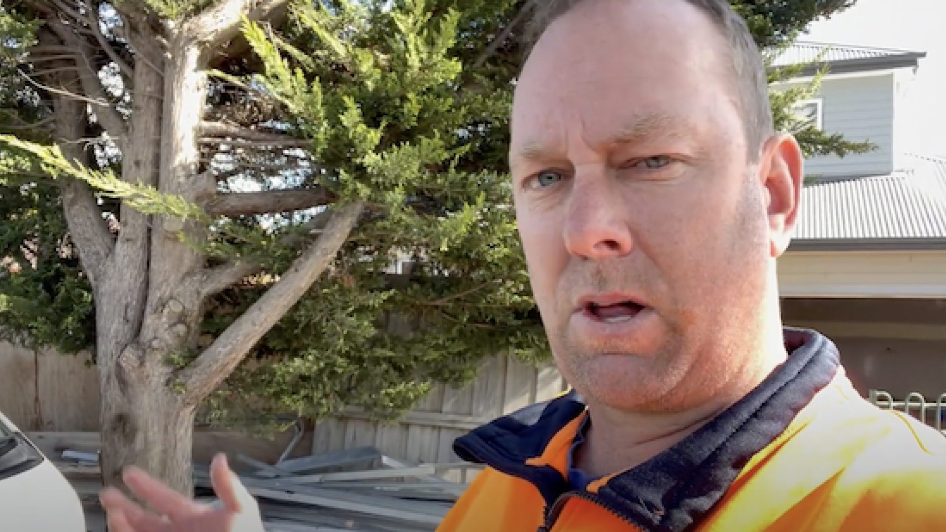 Navigating Council-Protected Tree Removal in McCrae/Dromana with Cut It Right Tree Service
