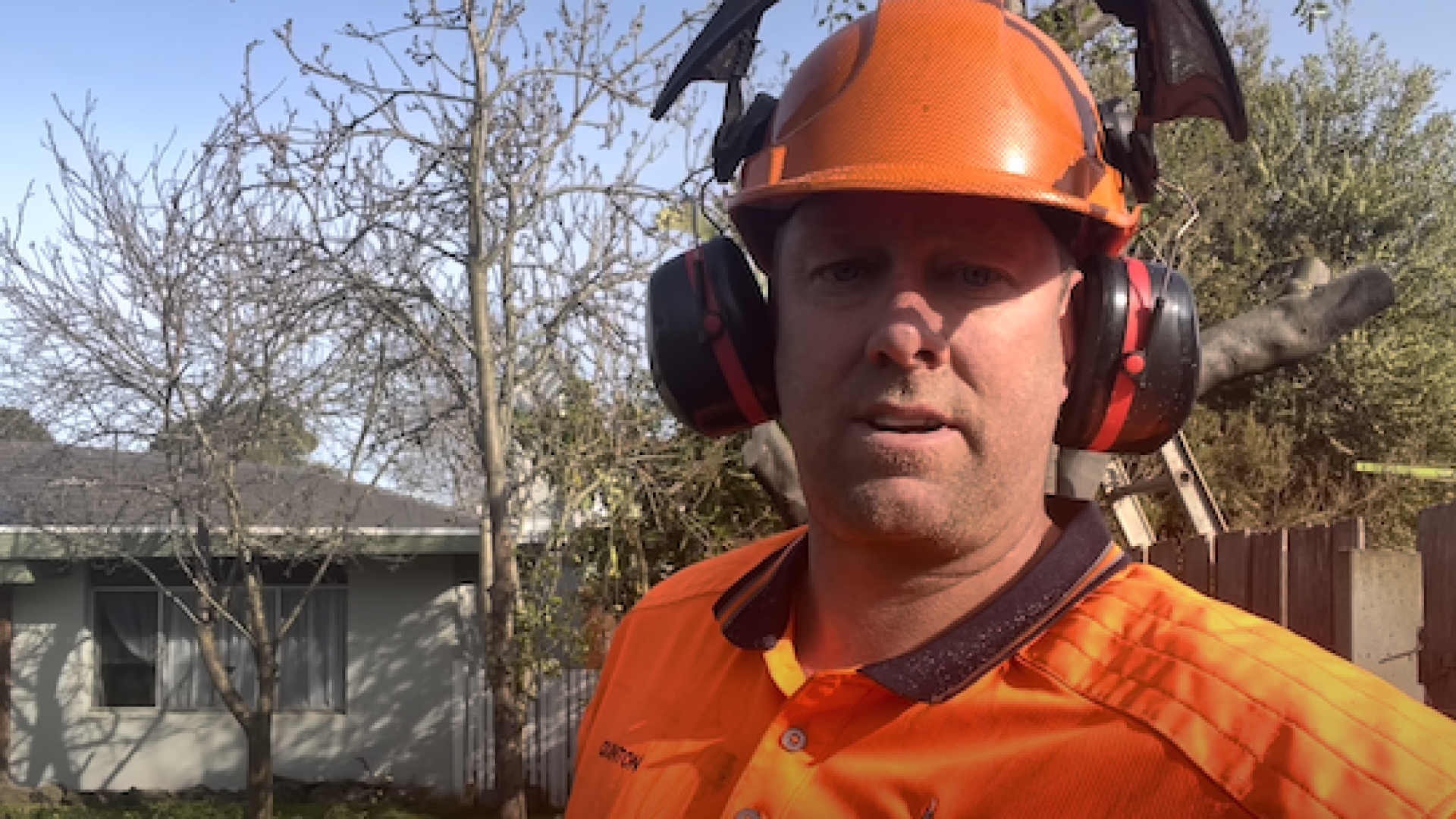 How to cut a tree in your backyard and some hazards to look out for. Tree Removal Service Frankston