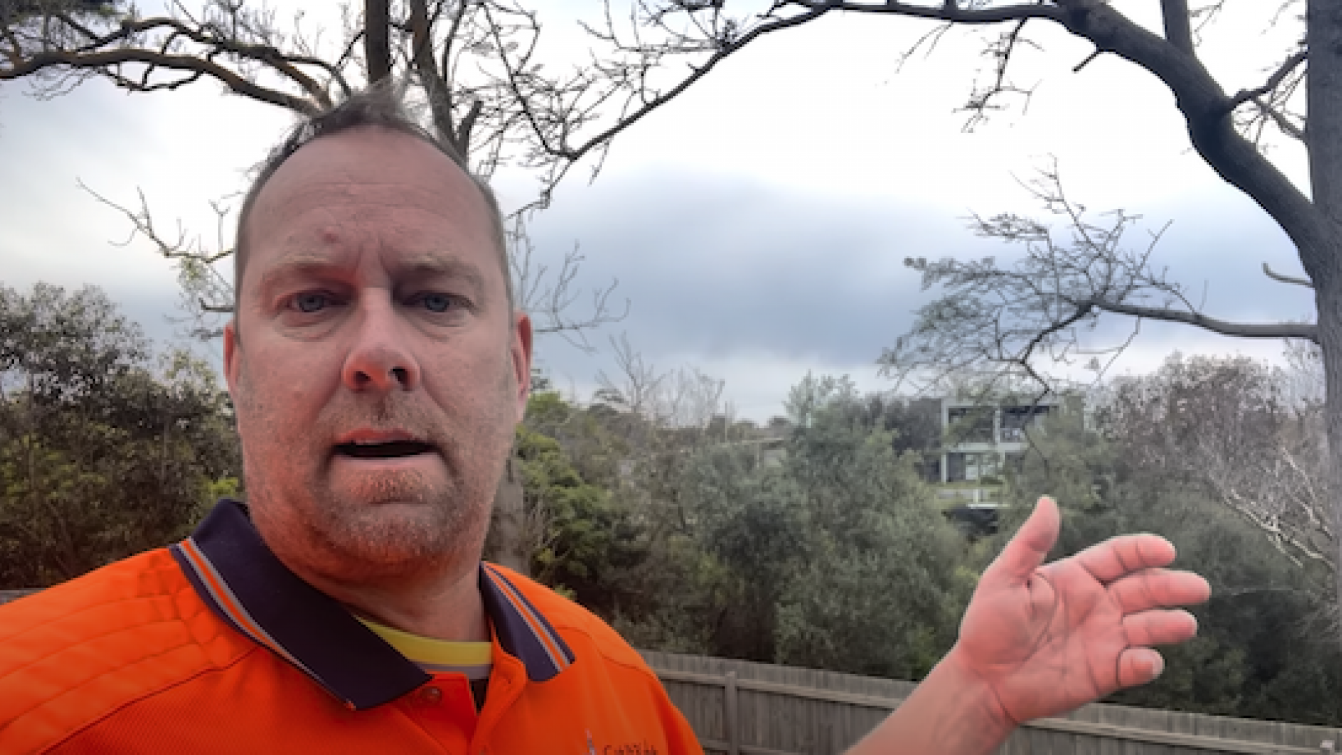 Reviving Your Trees: Expert Deadwood Removal and Pruning Services in Mt Eliza