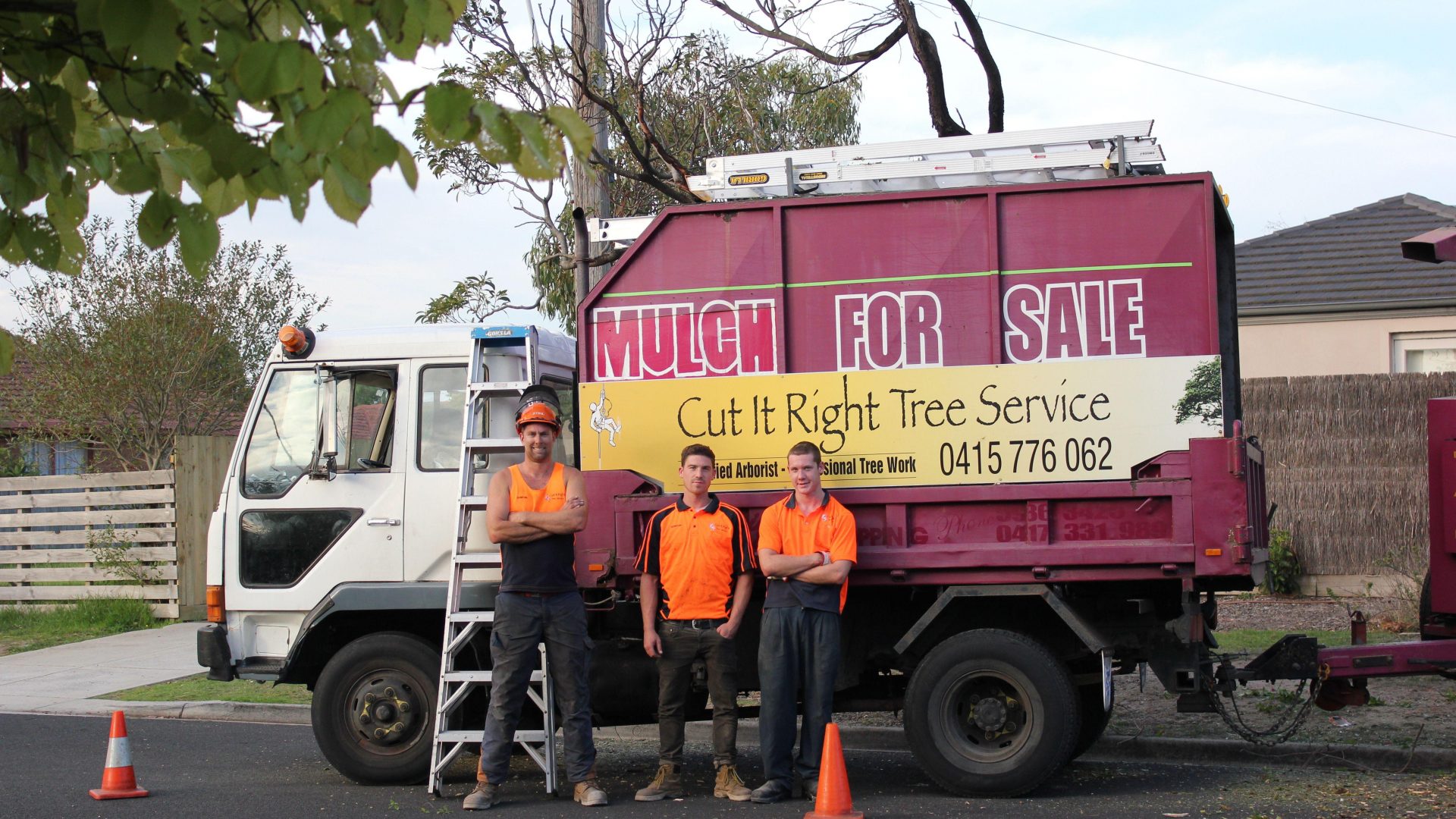 Expert Tree Removal Permit Services in Frankston | Cut It Right Tree Services