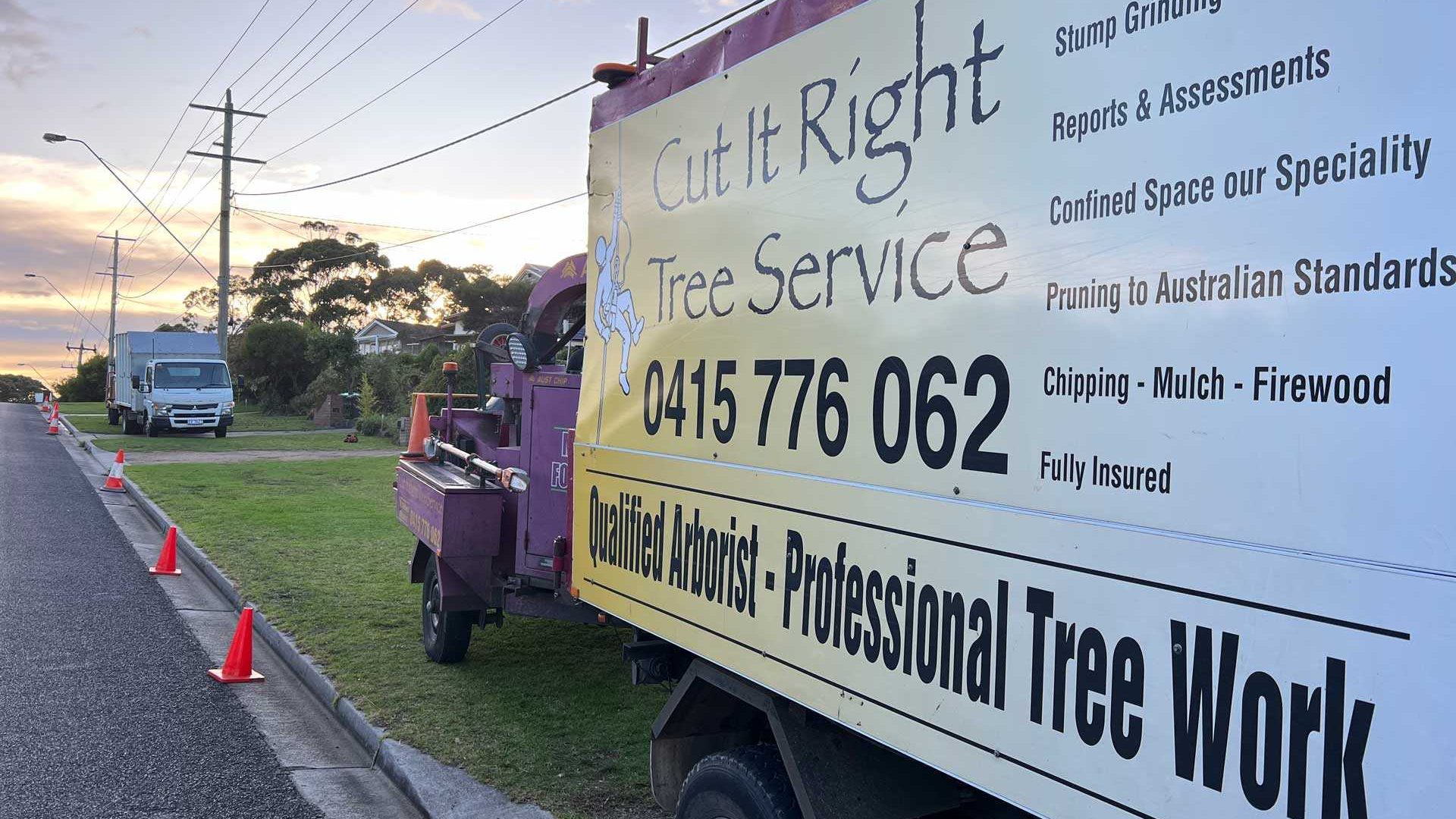 Palm Tree Pruning in Frankston: Keeping the Tropics Tidy with Cut It Right Tree Service