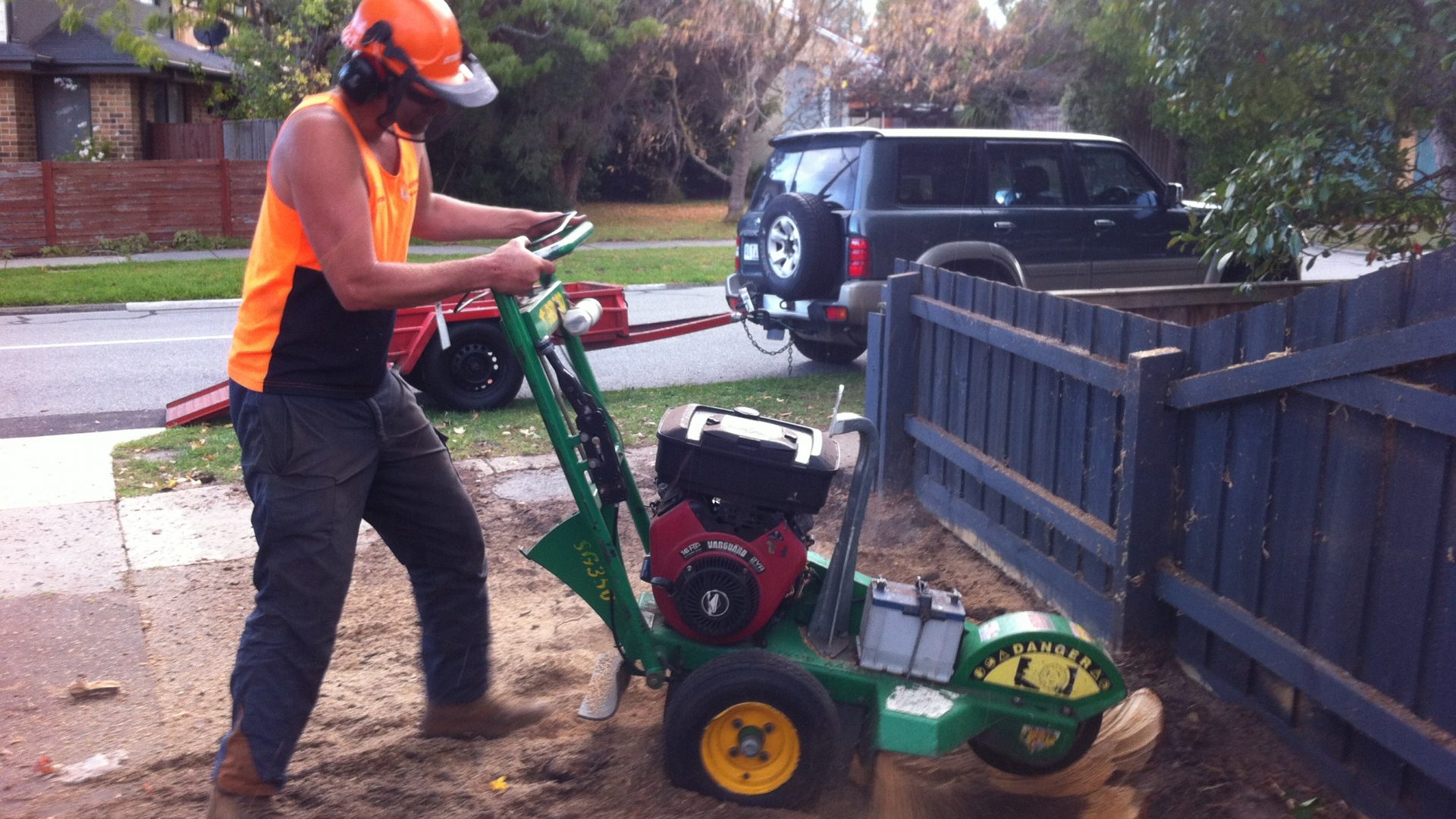 Dromana Tree Care - Cutting - Trimming - Removal Services