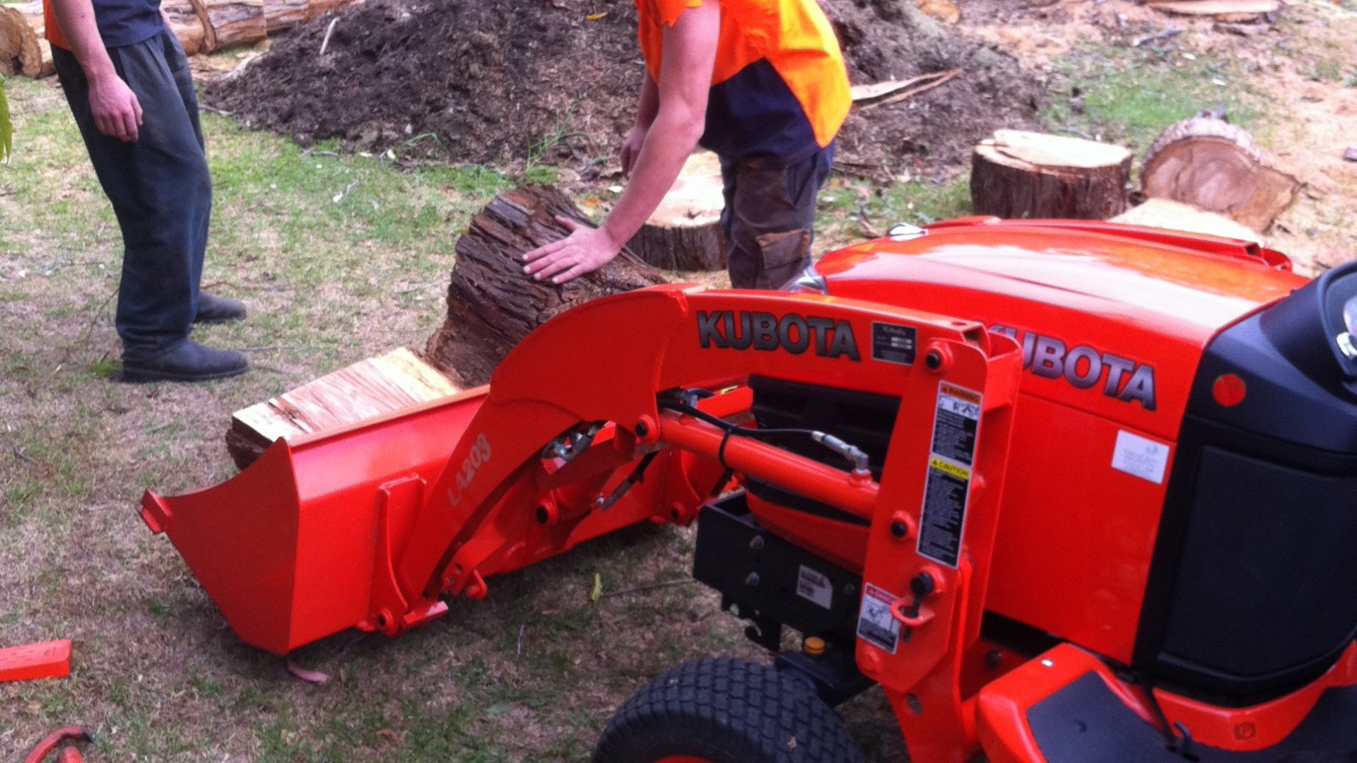 Removing Large Gum Wood The Easy Way in Mt Eliza