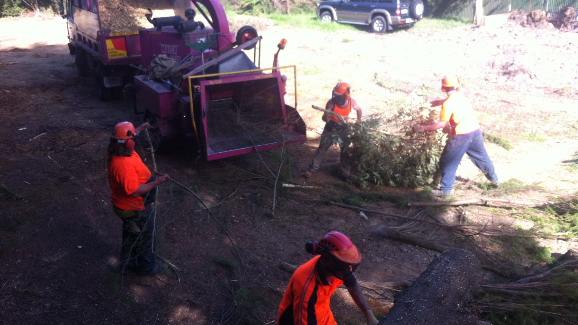 Tree Mulching & Chipping Service in Frankston South & Langwarrin