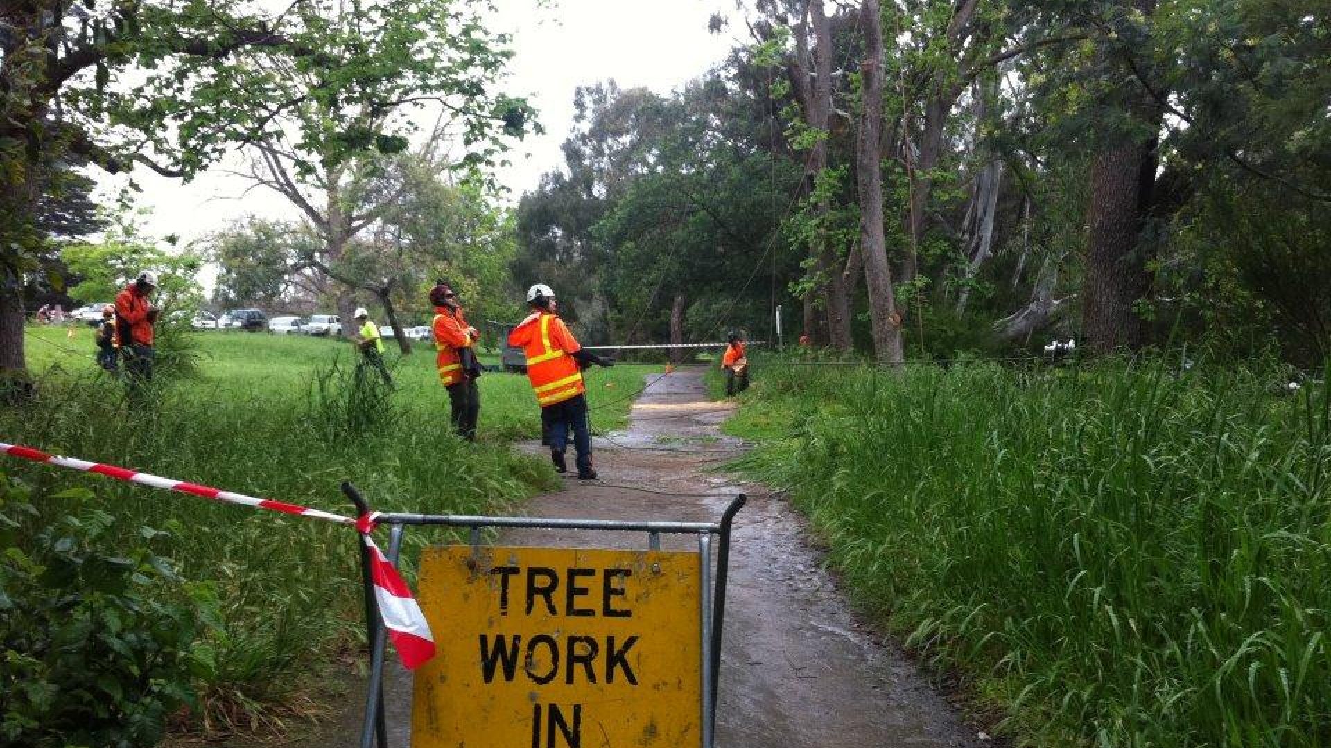 Cutting, Pruning, Trimming Or Tree Removal Mt Eliza