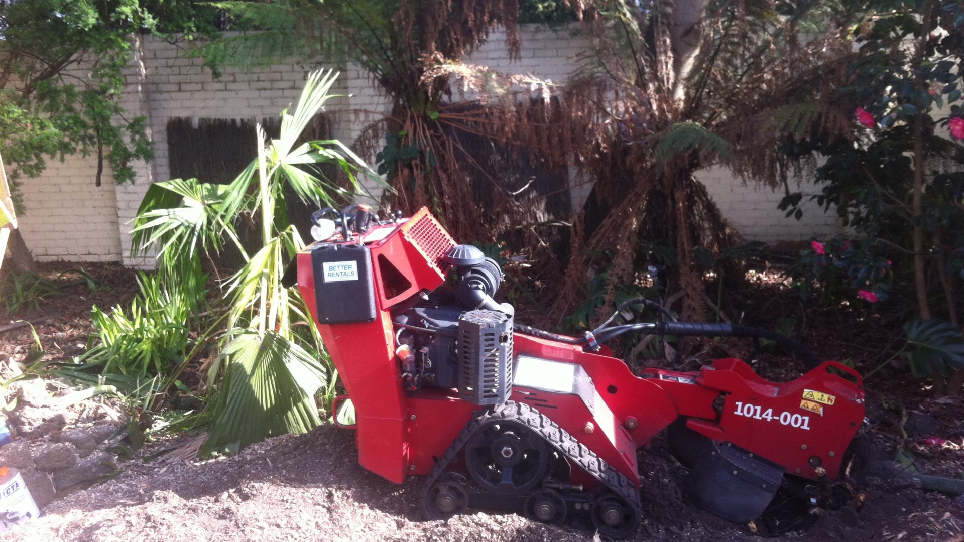 The Importance of Tree Stump and Stump Grinding in Frankston South | Cut It Right Tree Services