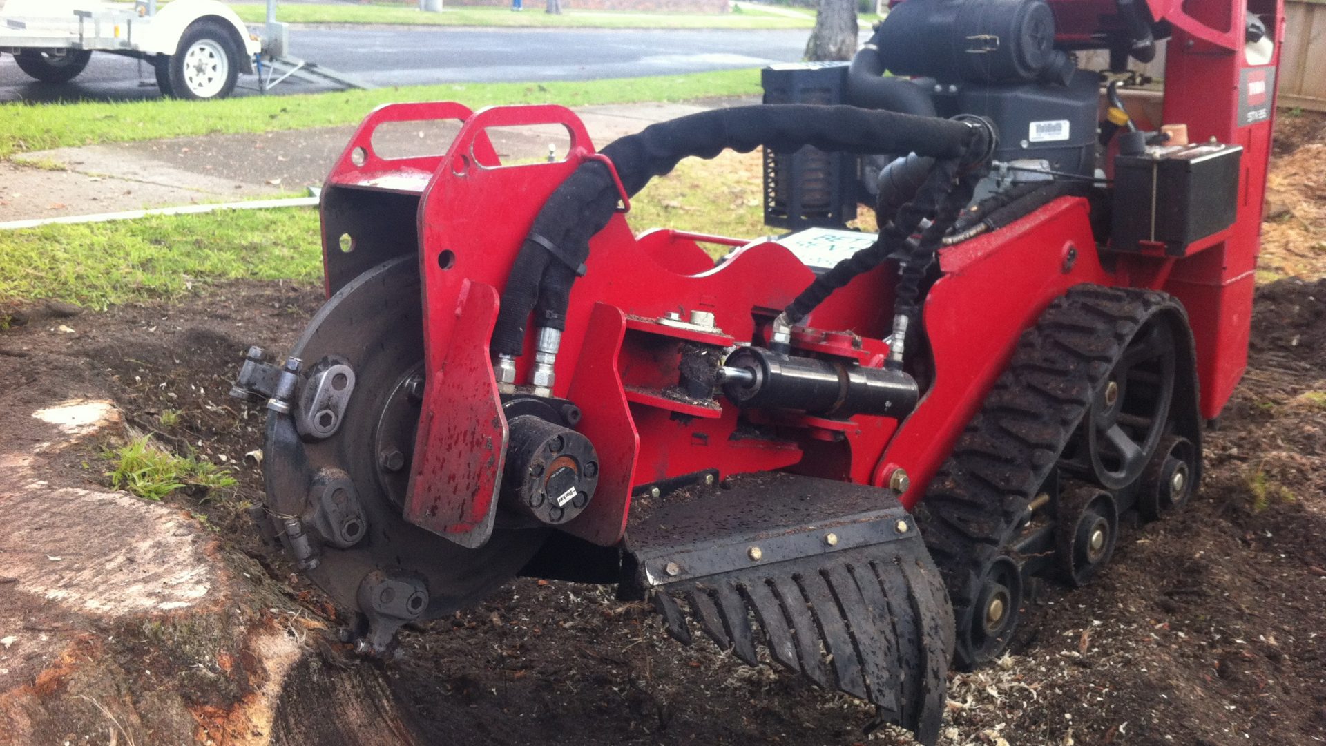 Expert Stump Removal Services in Mt Eliza: Trust Cut It Right Tree Services for Safe and Effective Solutions